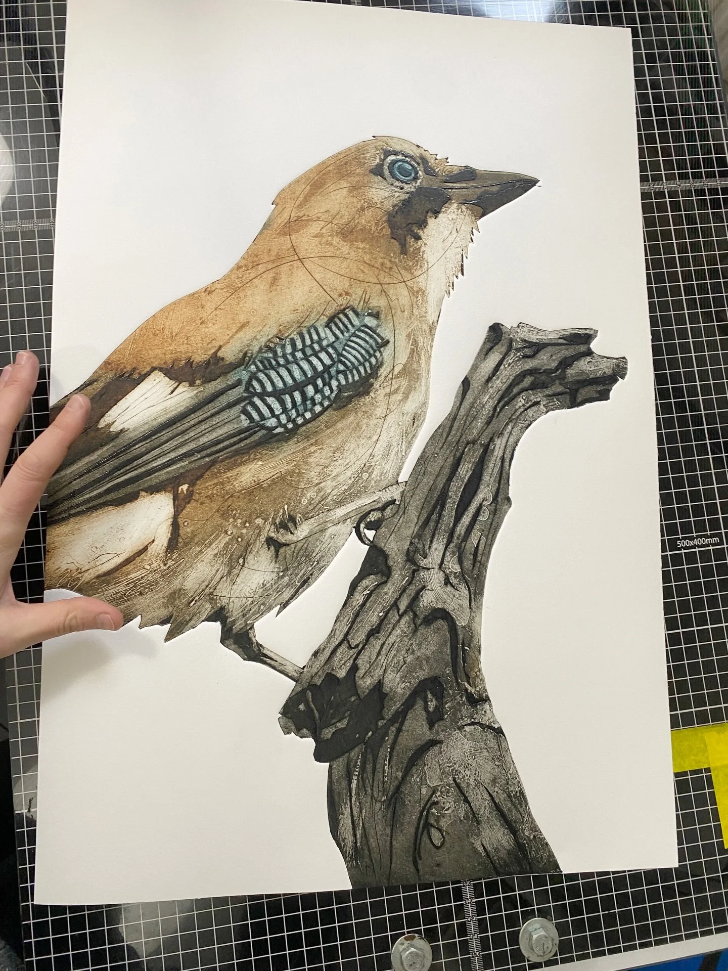 Did you know- jays are vital to oak trees, acting as one of their primary seed dispersers and enabling forest regeneration. A single jay can bury up to 5,000&ndash;8,000 acorns in a single season.

Here it massive Jay collagraph - made by carving it 