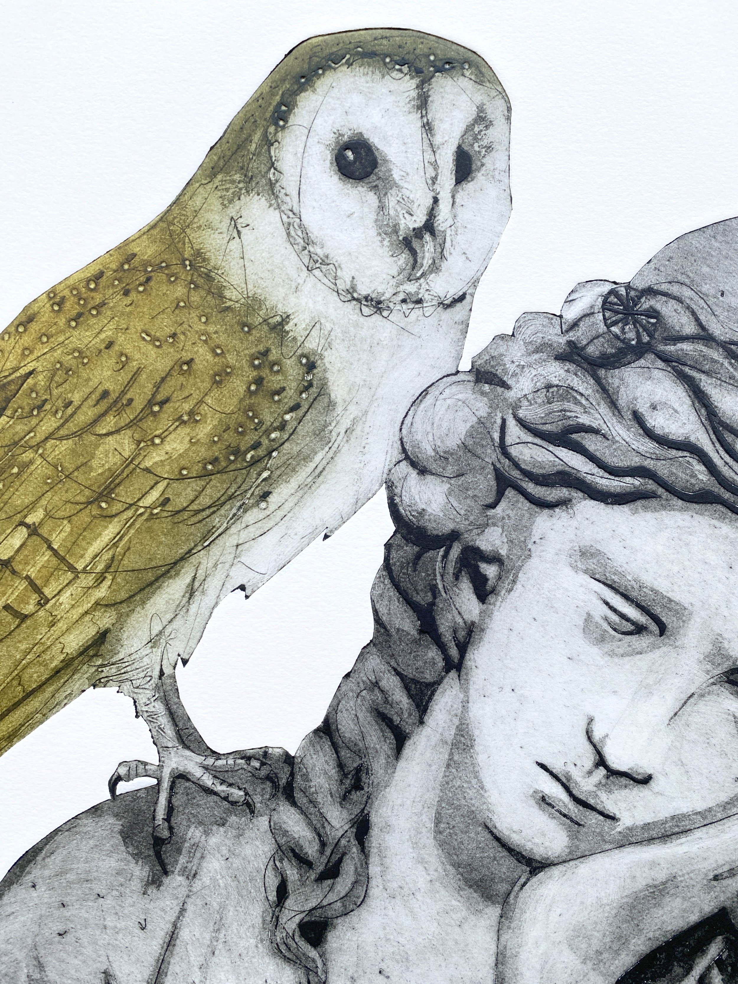 INTUITION - barn owl detai l small  .jpg