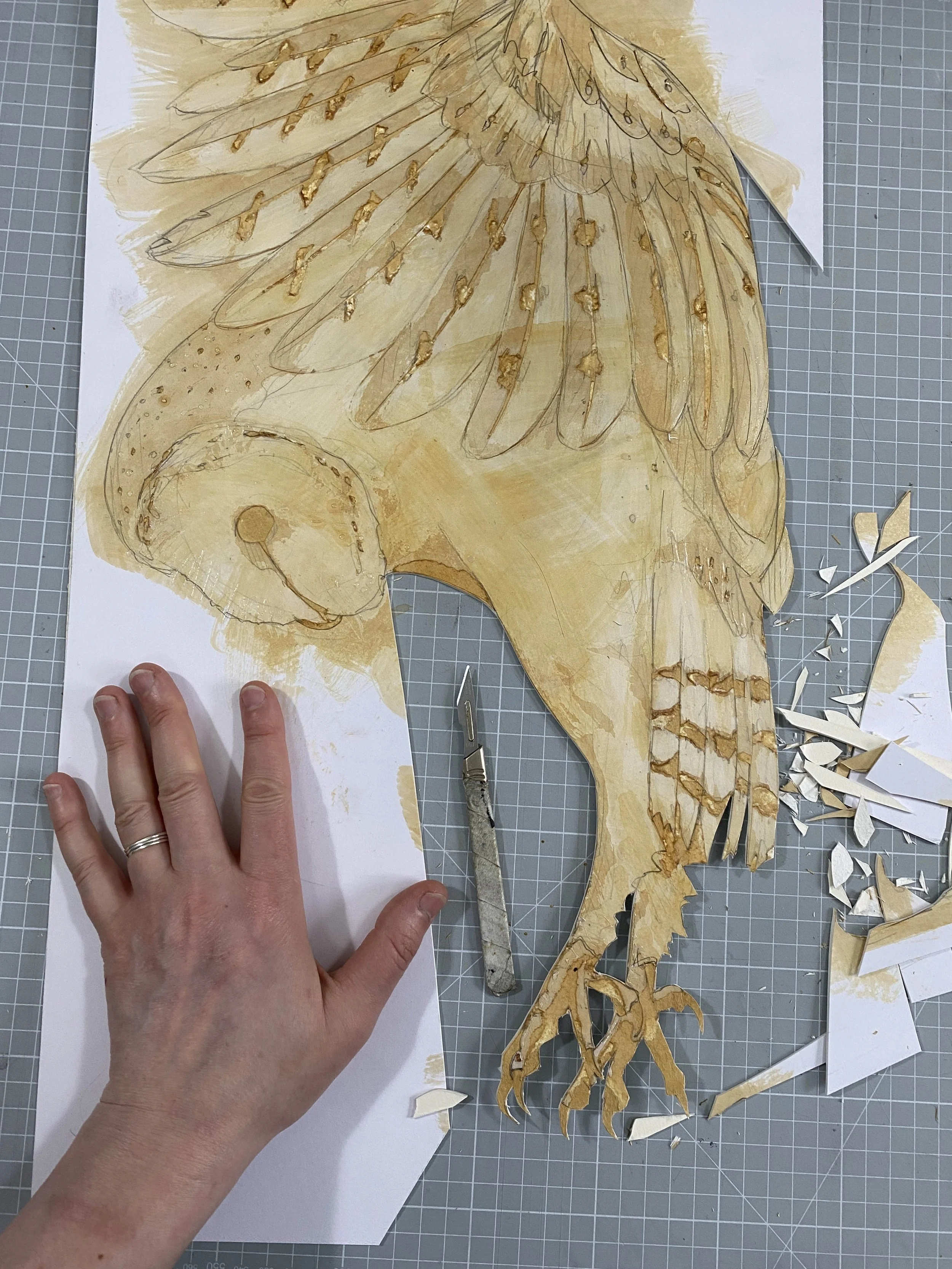 PURSUIT OWL cutting plate small.jpg