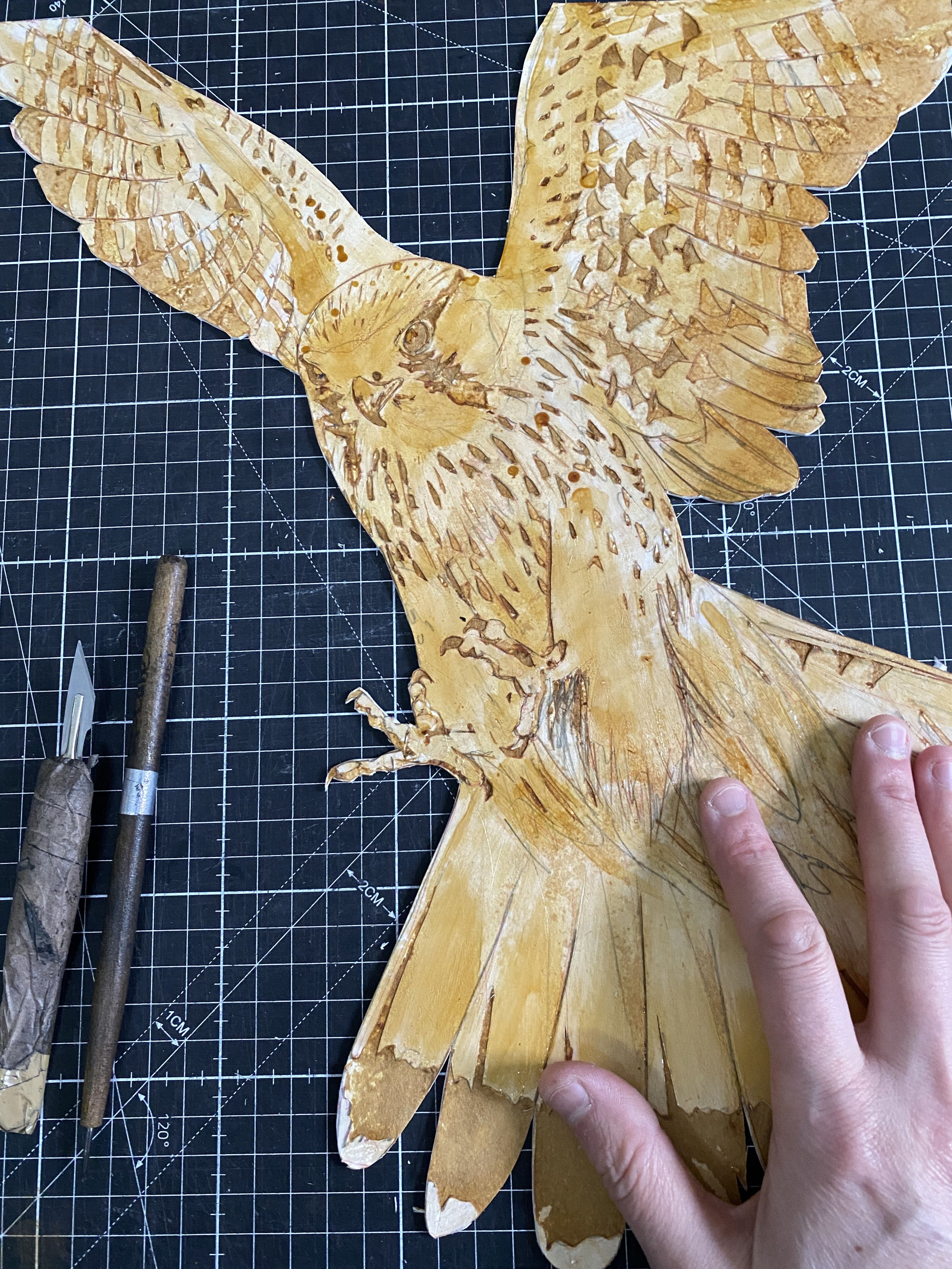 Kestral - FOCUS cut out SMALL.jpg