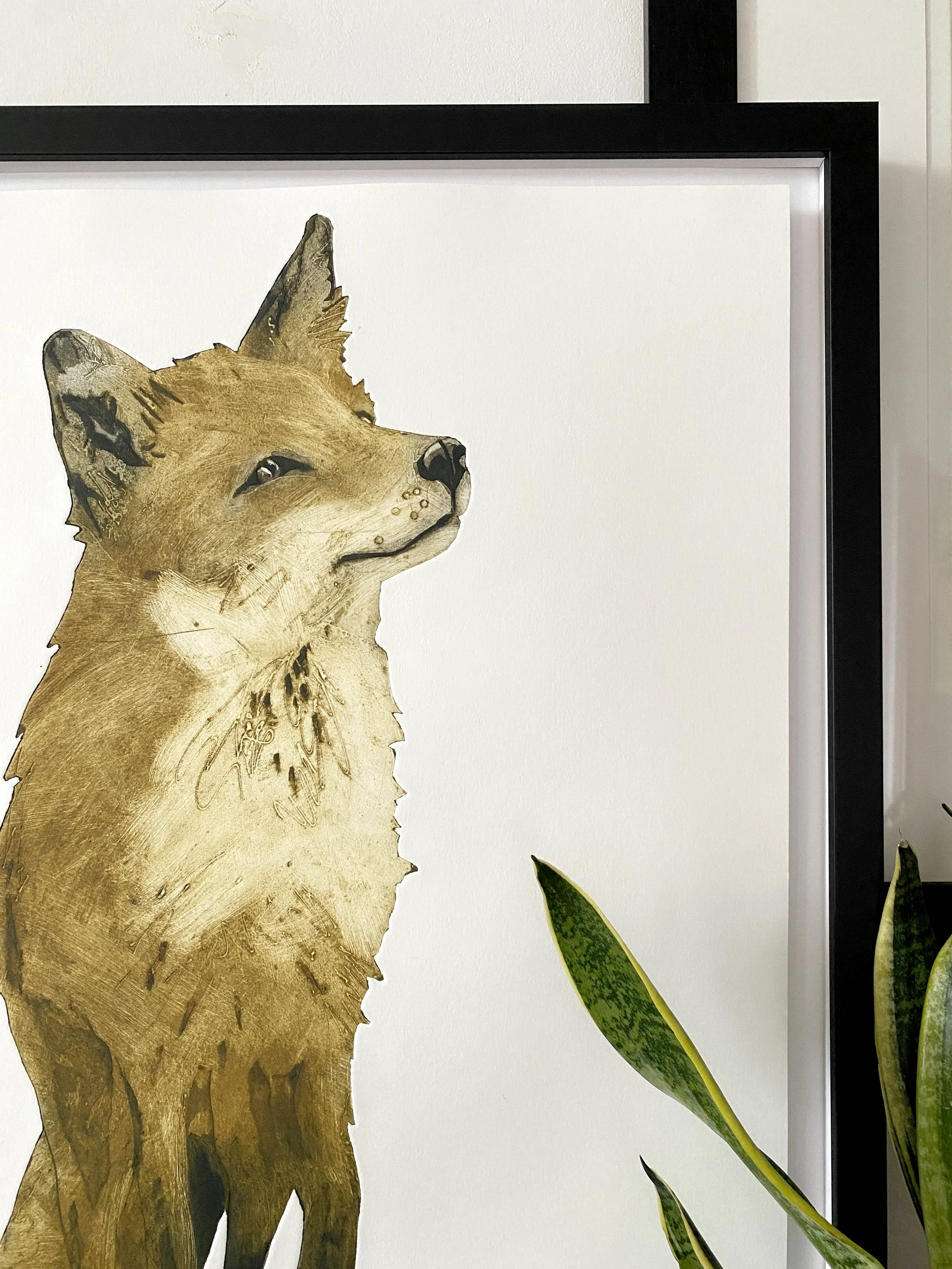 FOX ABLE framed detail SMALL .jpg