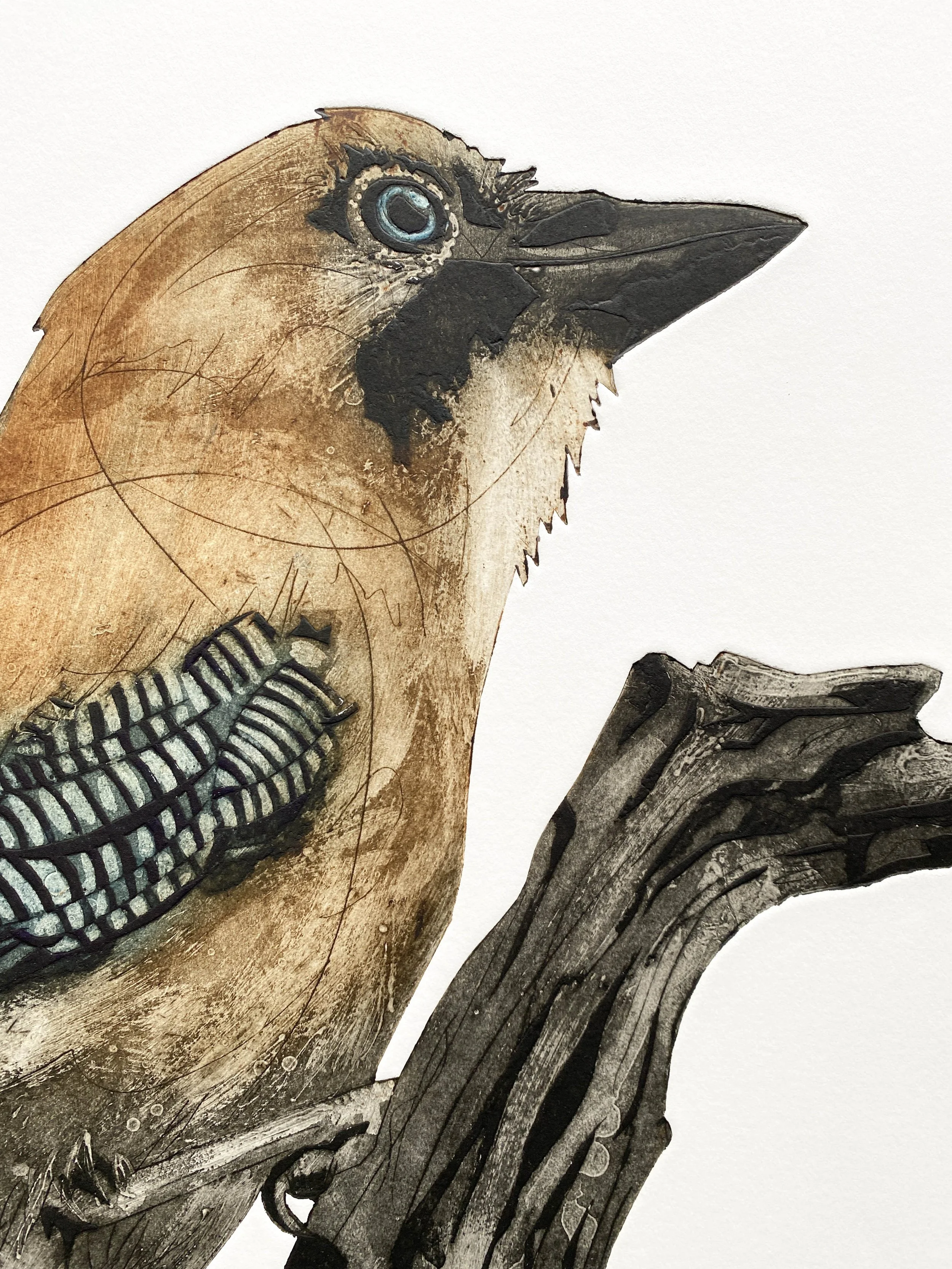 Jay detail 1 small .jpg