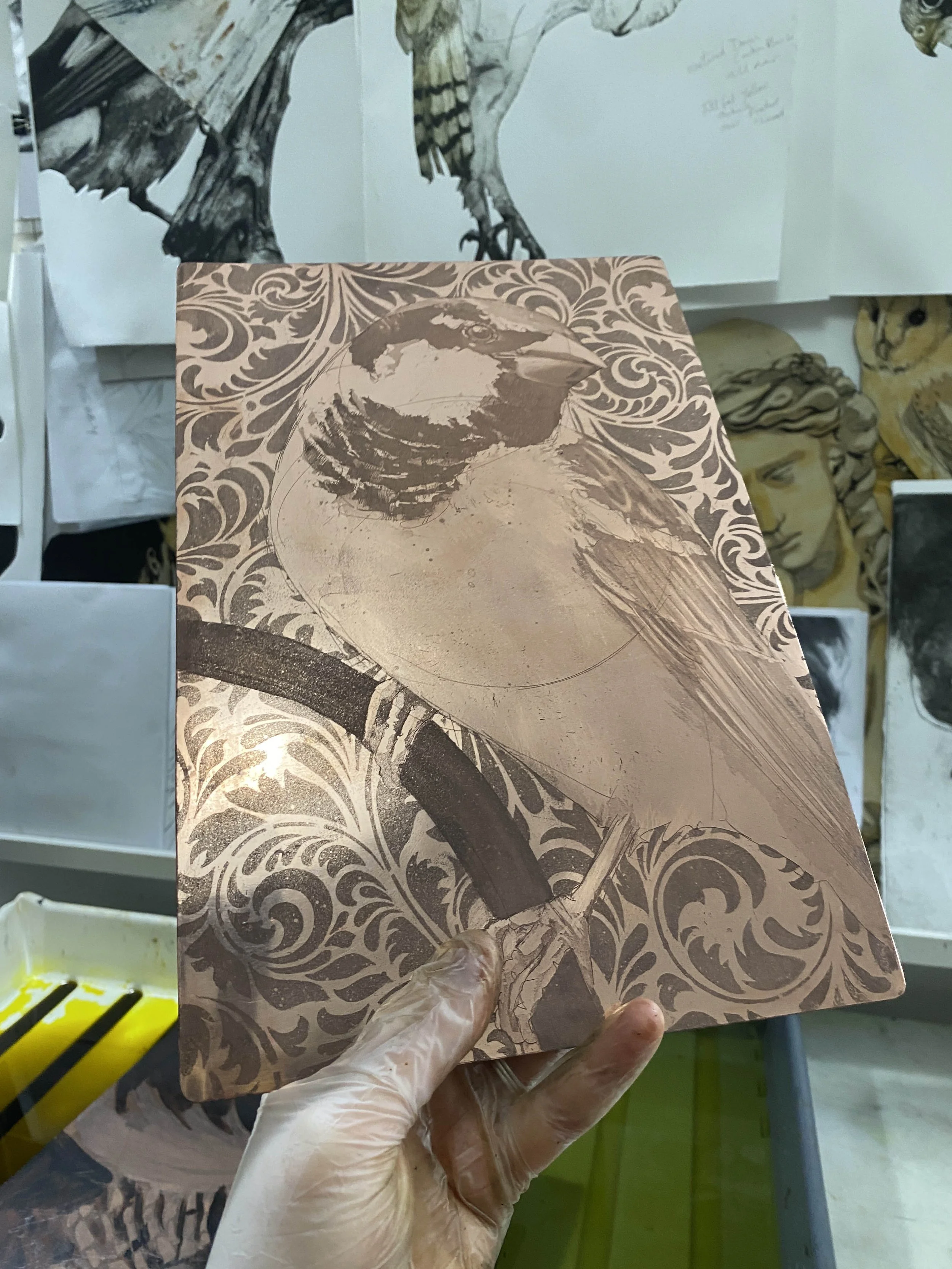 mr sparrow plate  small.jpg