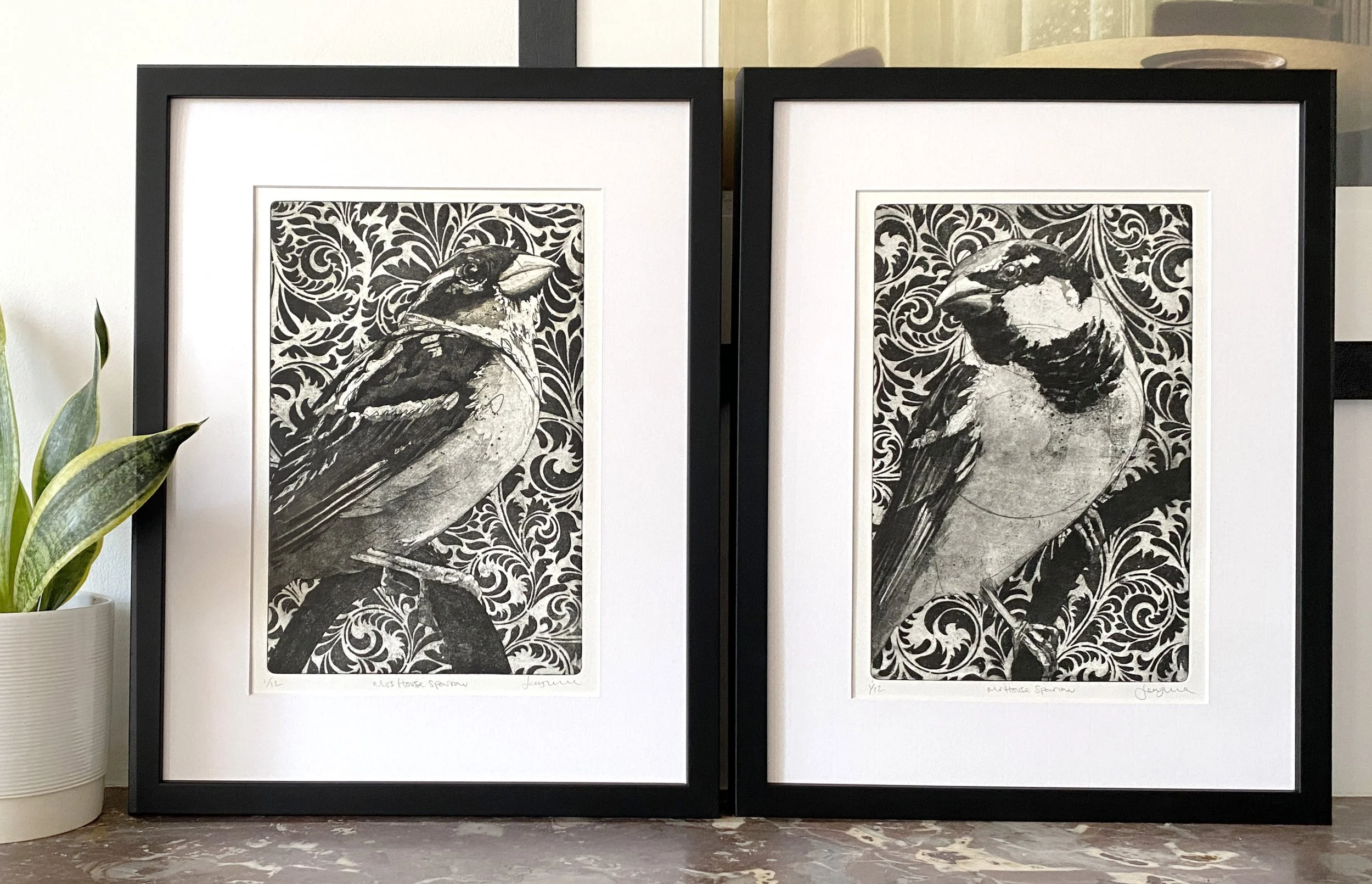 mr&mrs house sparrow framed2 .jpg