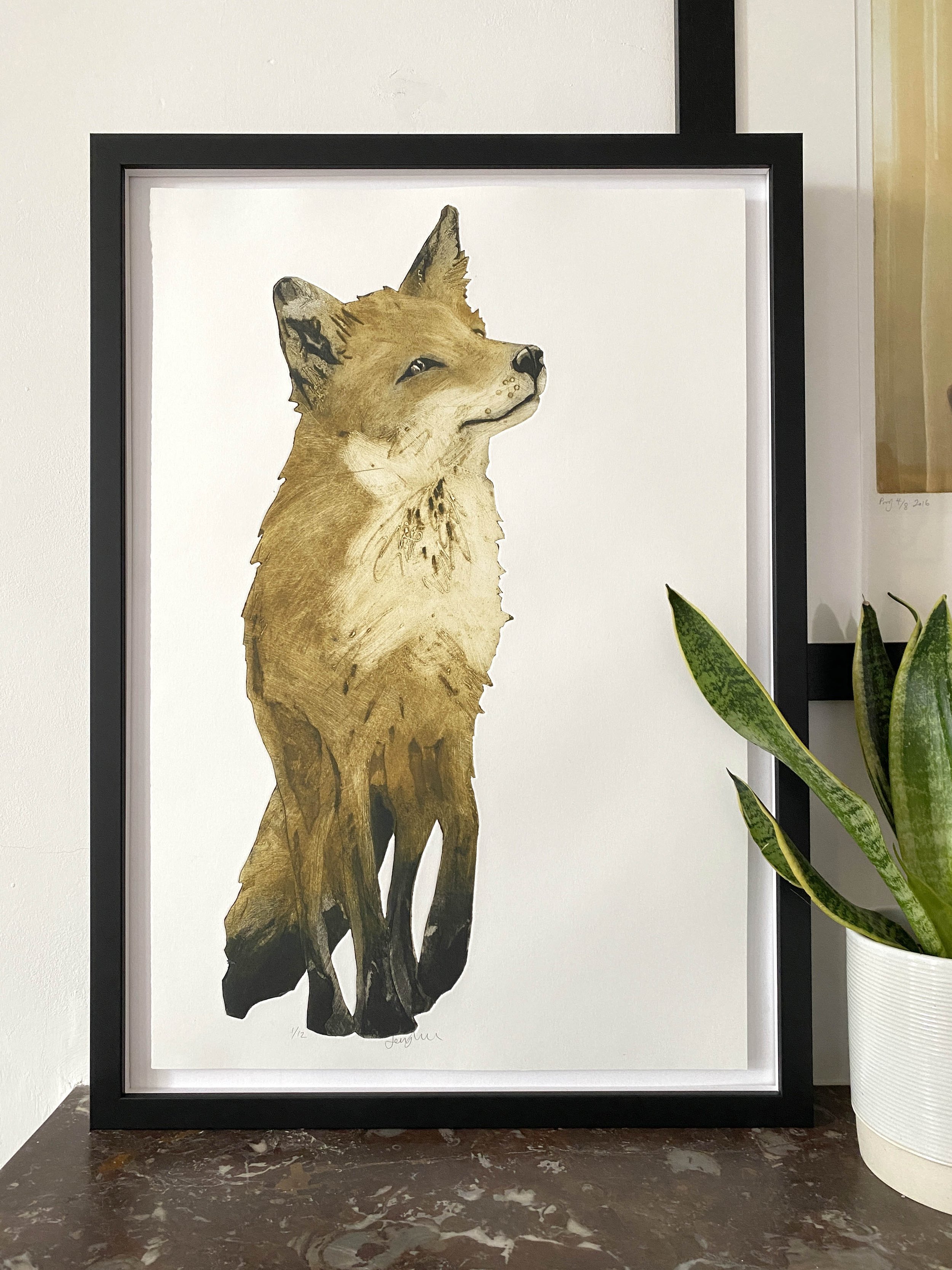 FOX ABLE faramed FULL SMALL .jpg