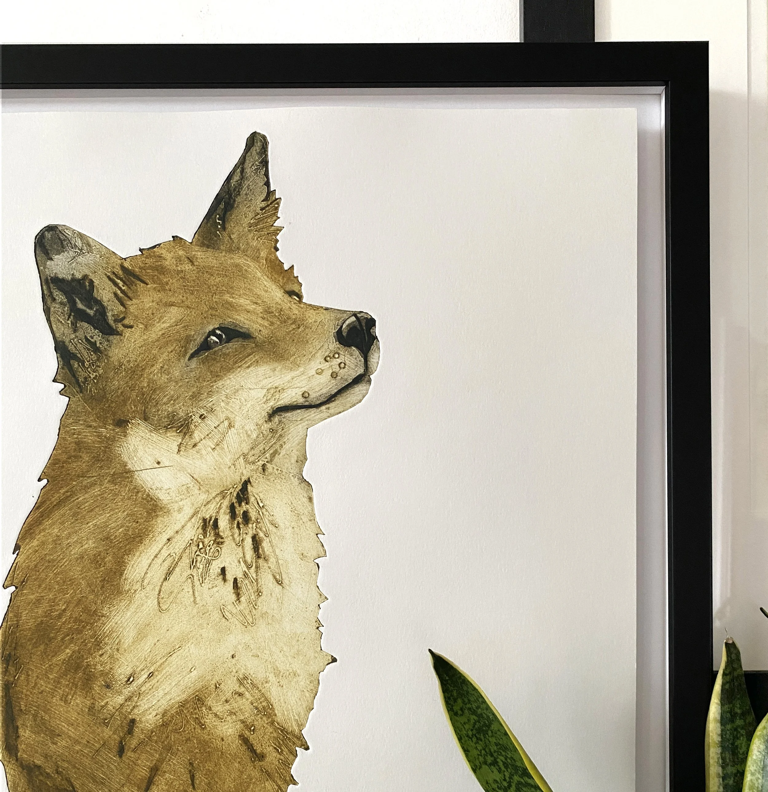 fox detail .jpg