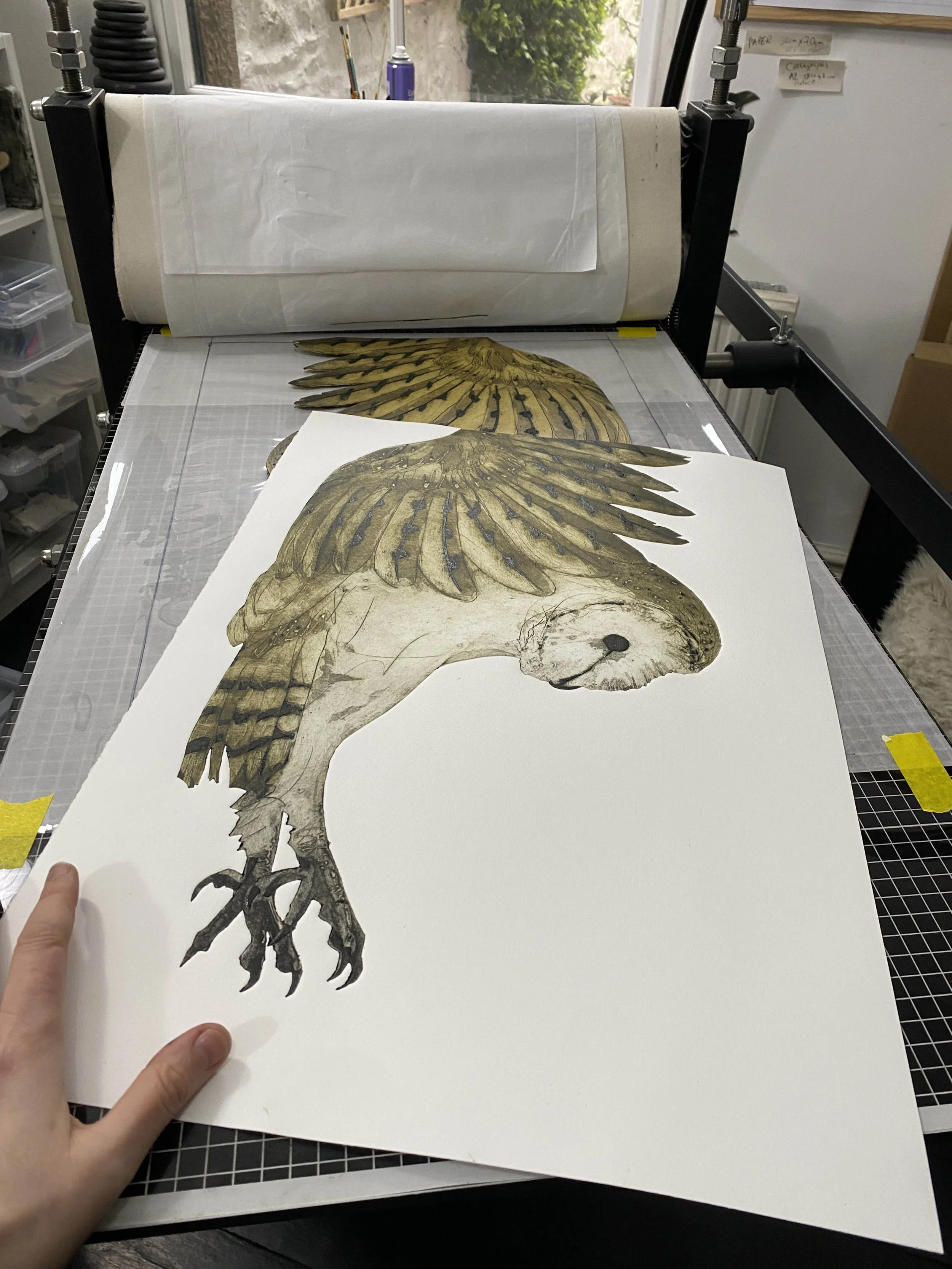 PURSUIT OWL on bed SMALL.jpg