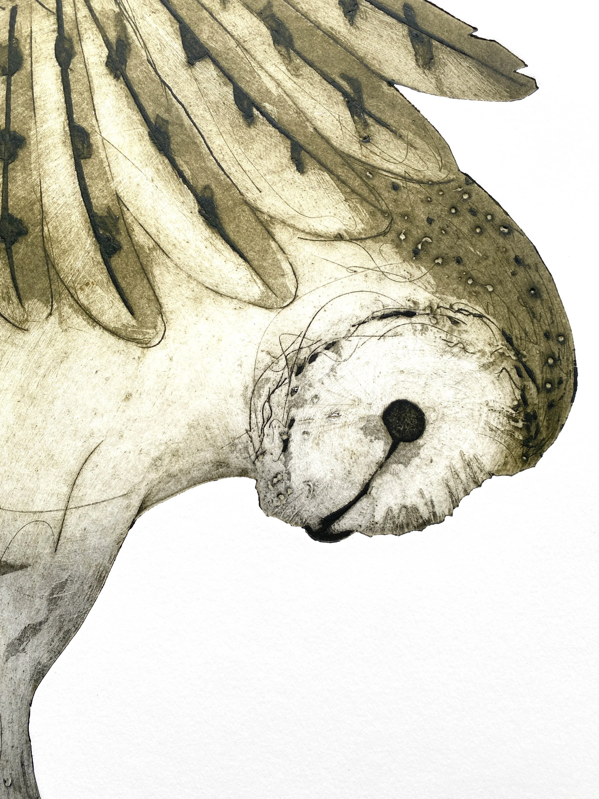 PURSUIT OWL detail 2 small  .jpg