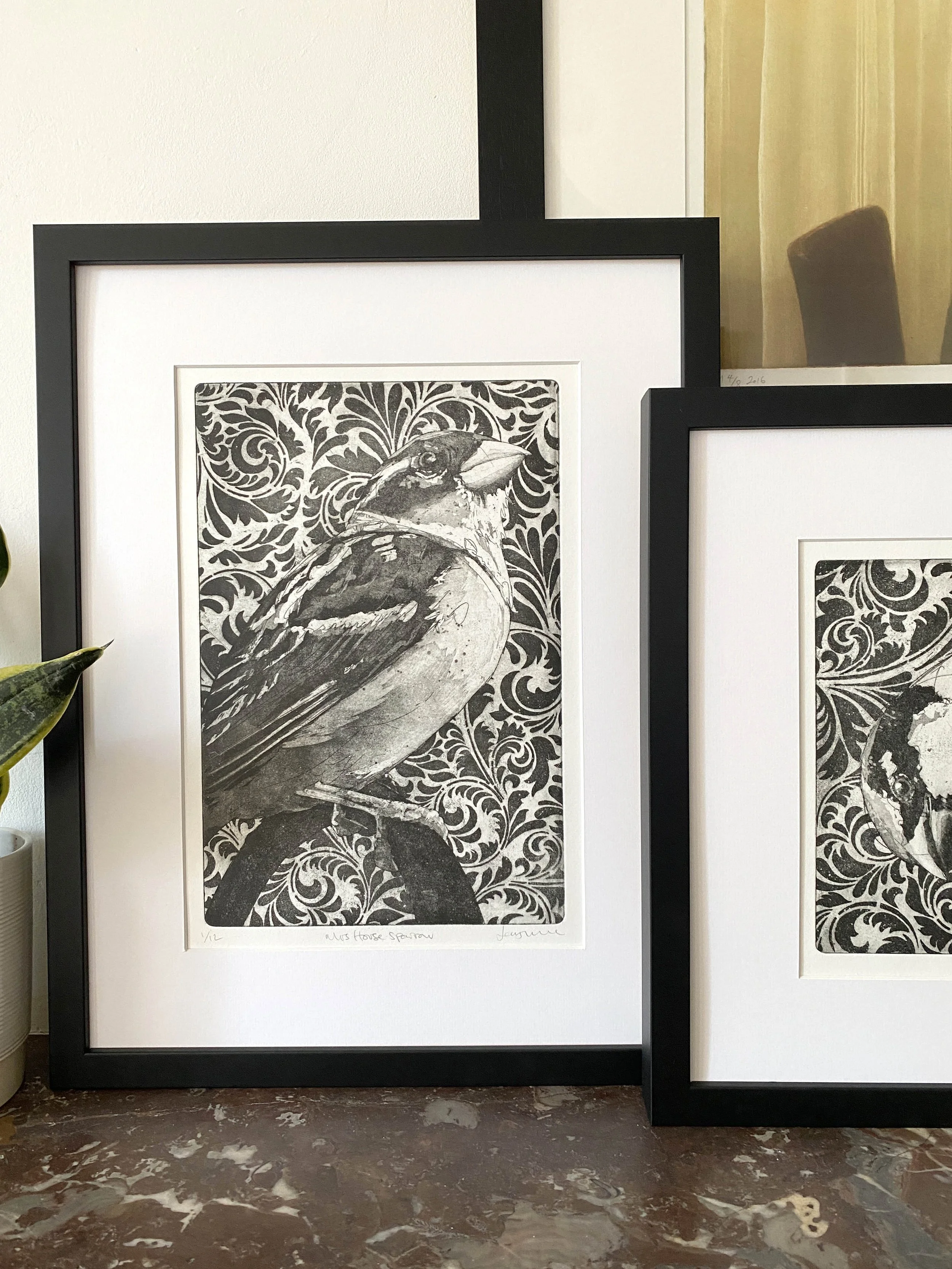 Mrs House sparrow