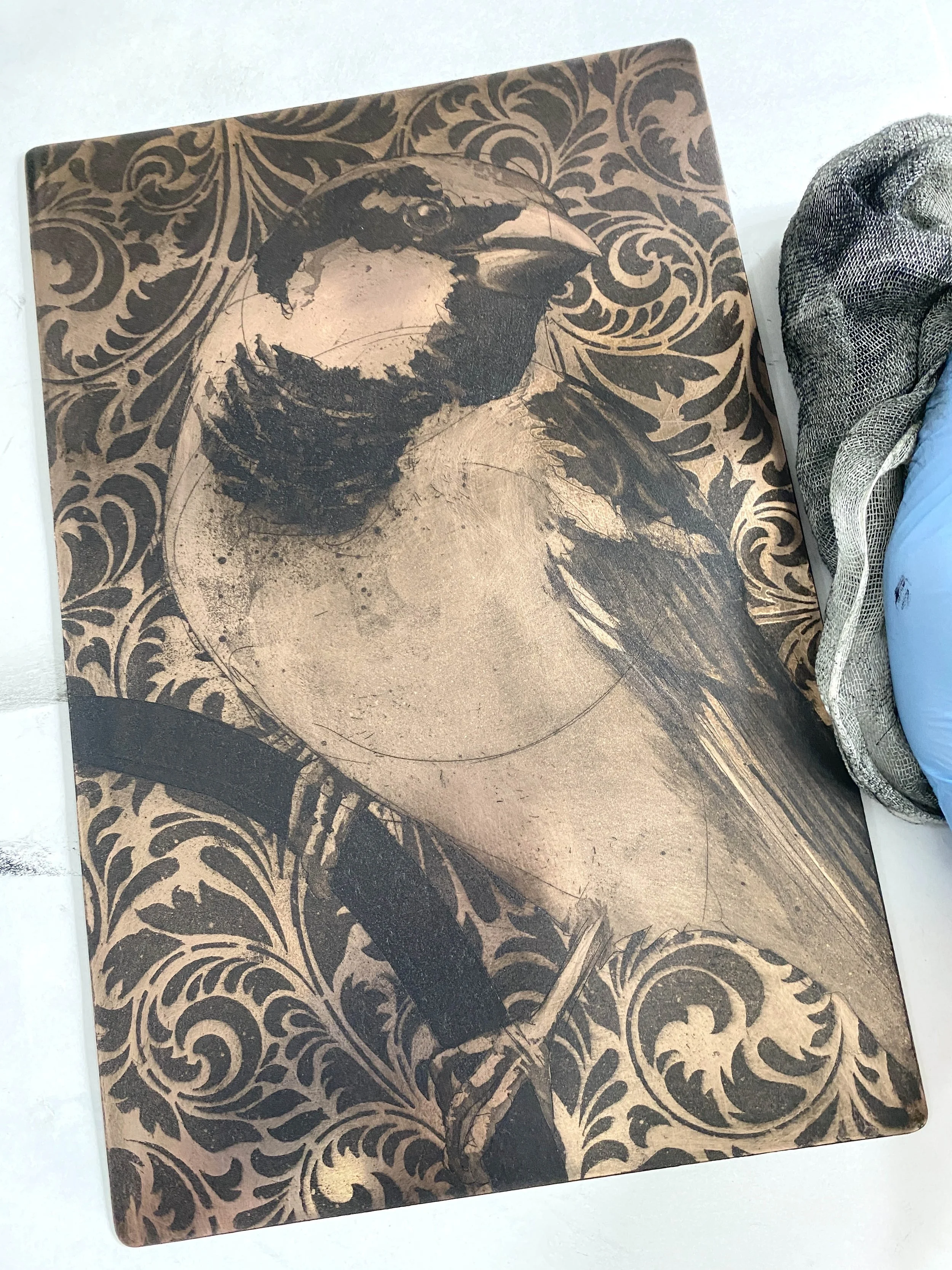 mr sparrow inky small .jpg
