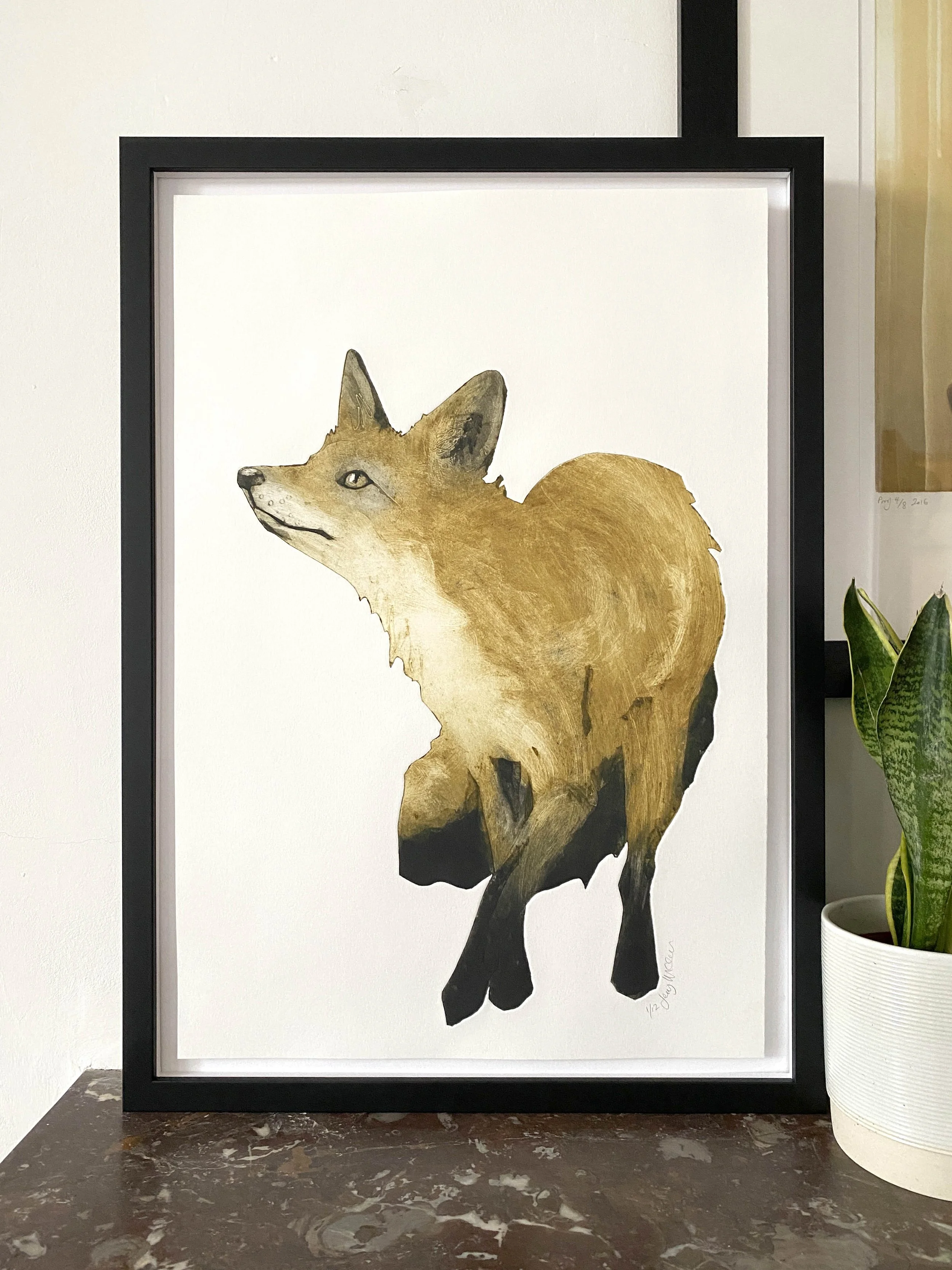 Keen - red fox (Vulpes vulpes)