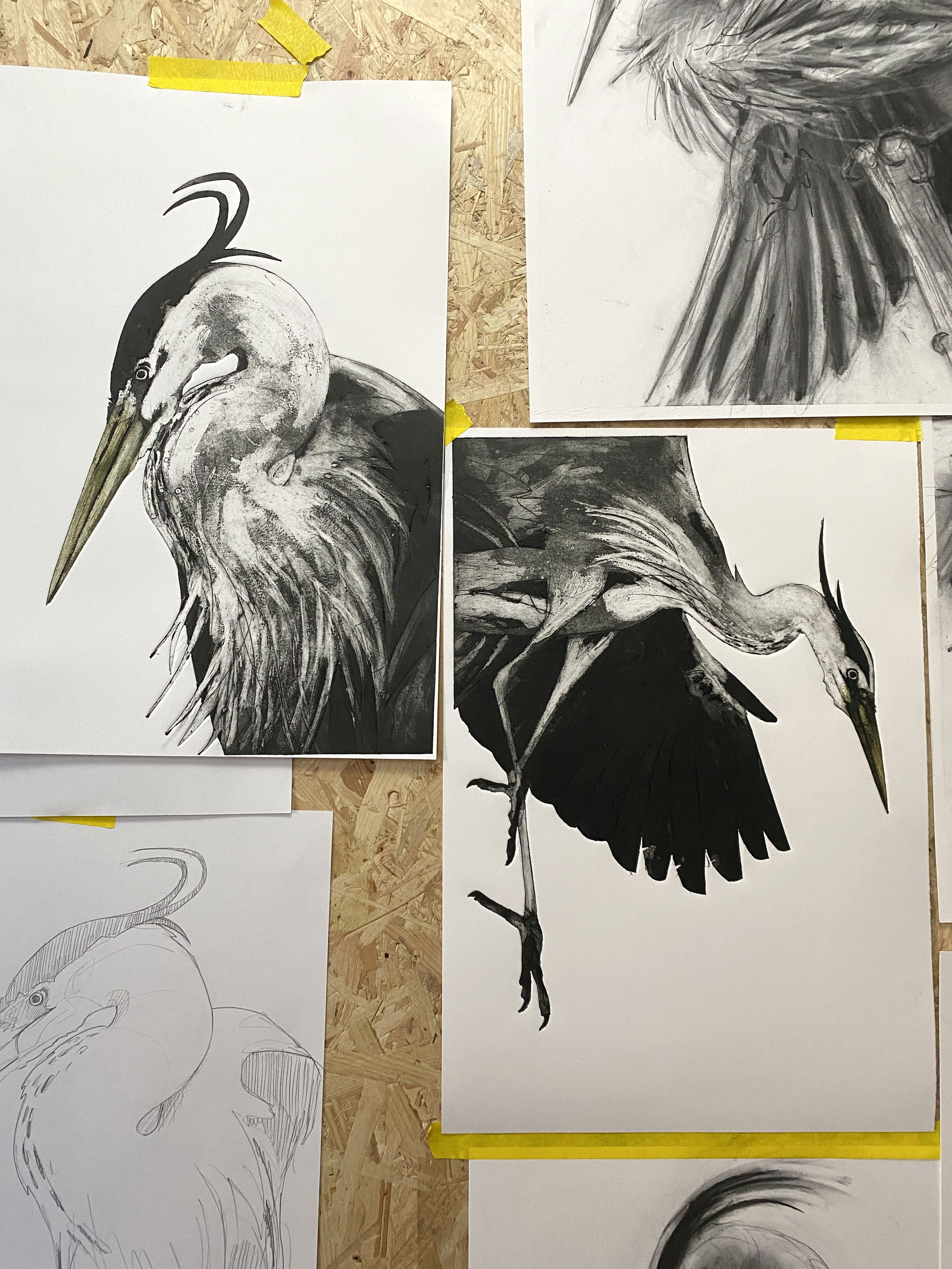 Heron - GRACE- studio wall SMALL.jpg