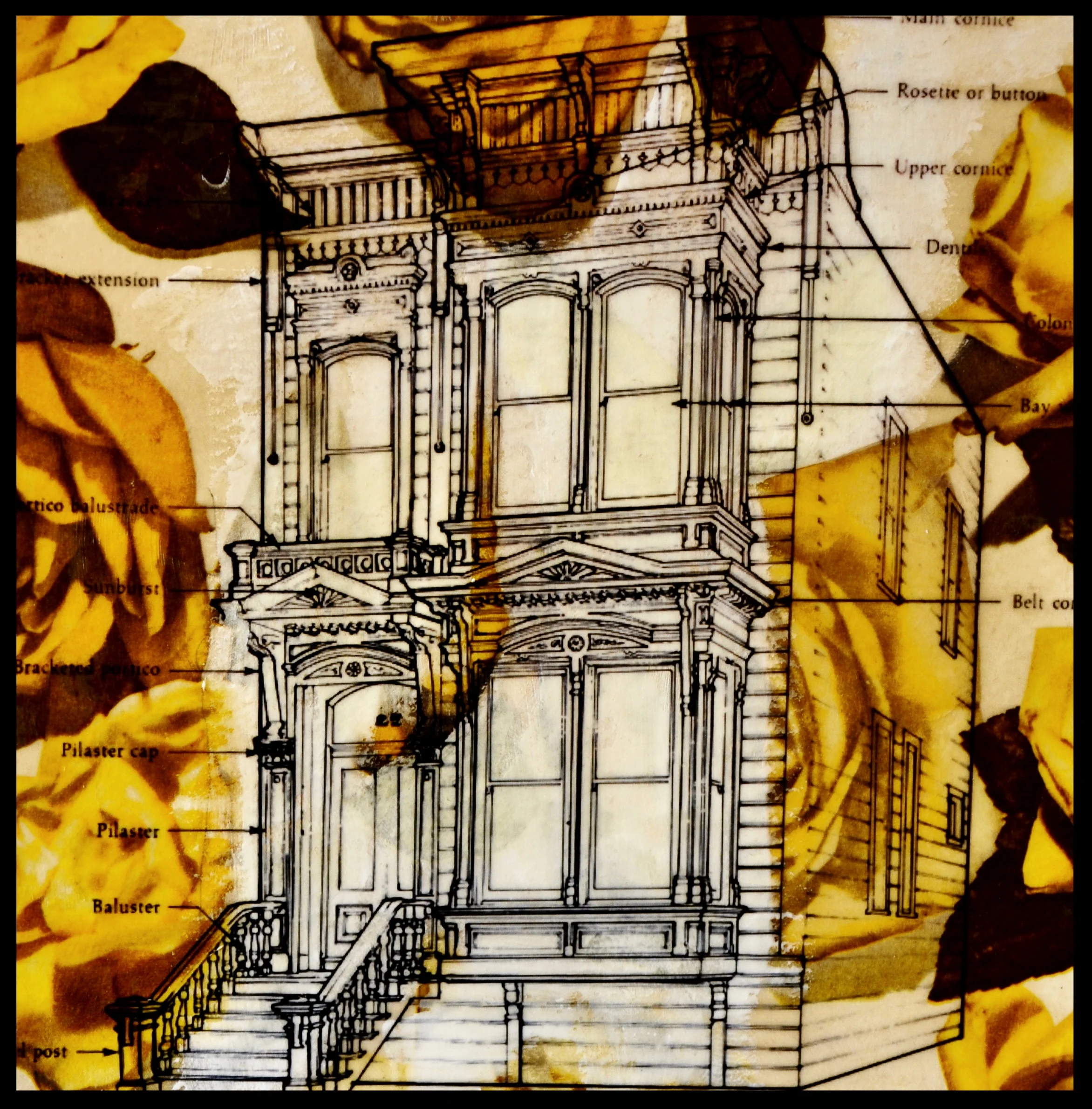 skeleton, san francisco