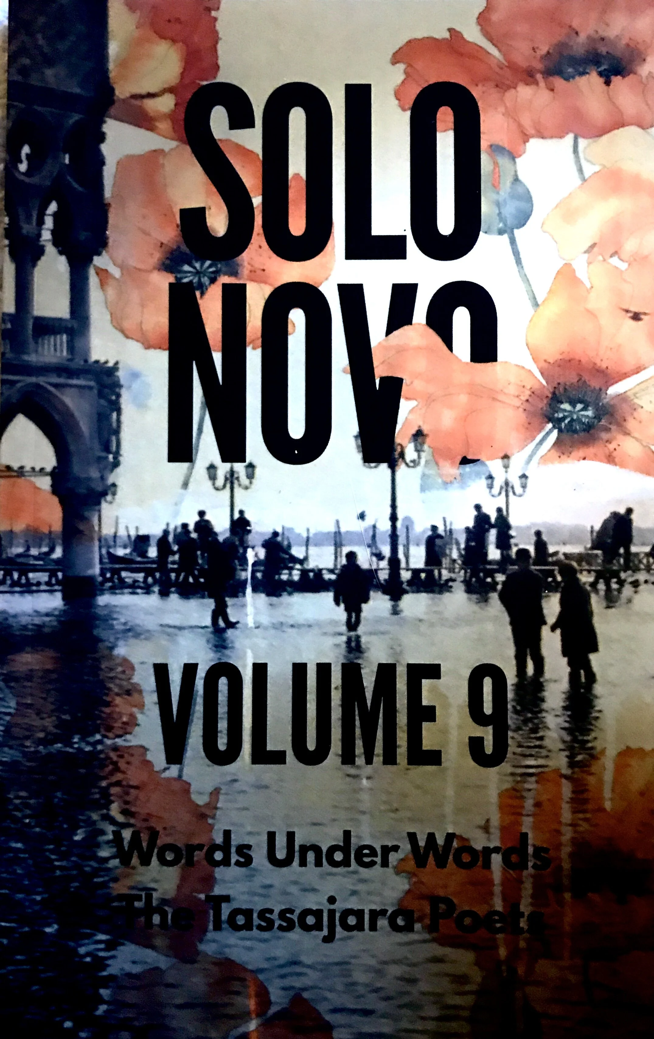 SOLO NOVO Book Cover by Kim Hart