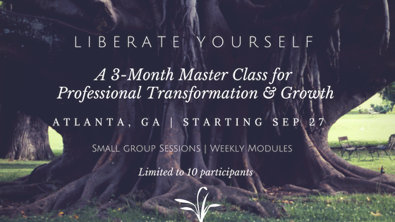 Everything you need to make that Professional leap . . .