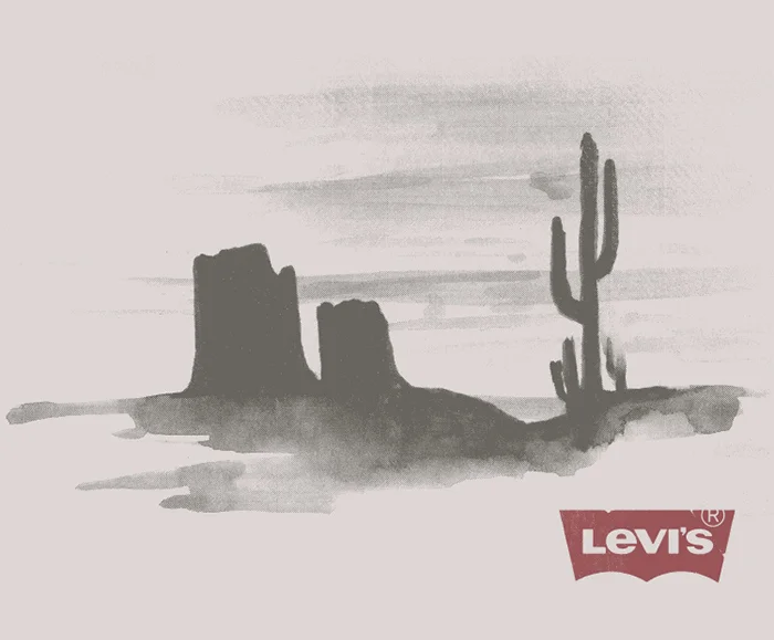 LEVIS_MENS_4.jpg