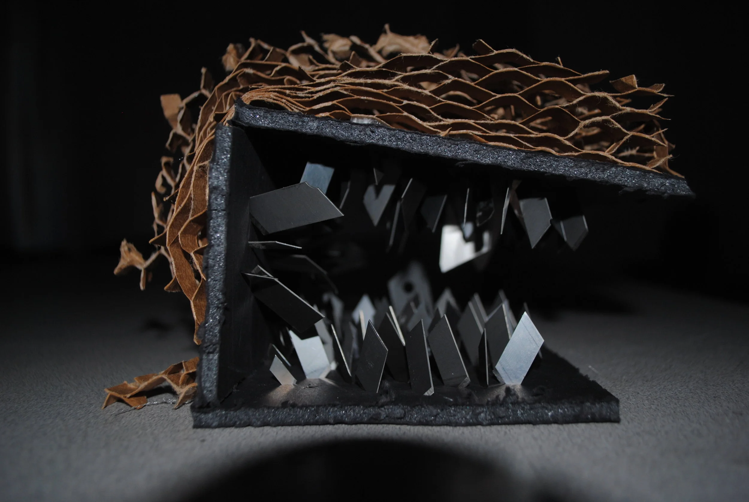 LDAR 2203_Jil Sanchez_Project 4_ fear model 5.JPG