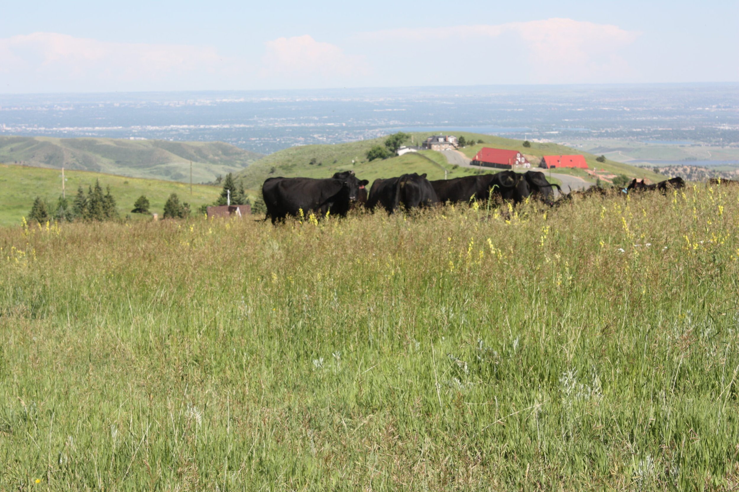 Holistic Planned Grazing and Ecological Monitoring 2026