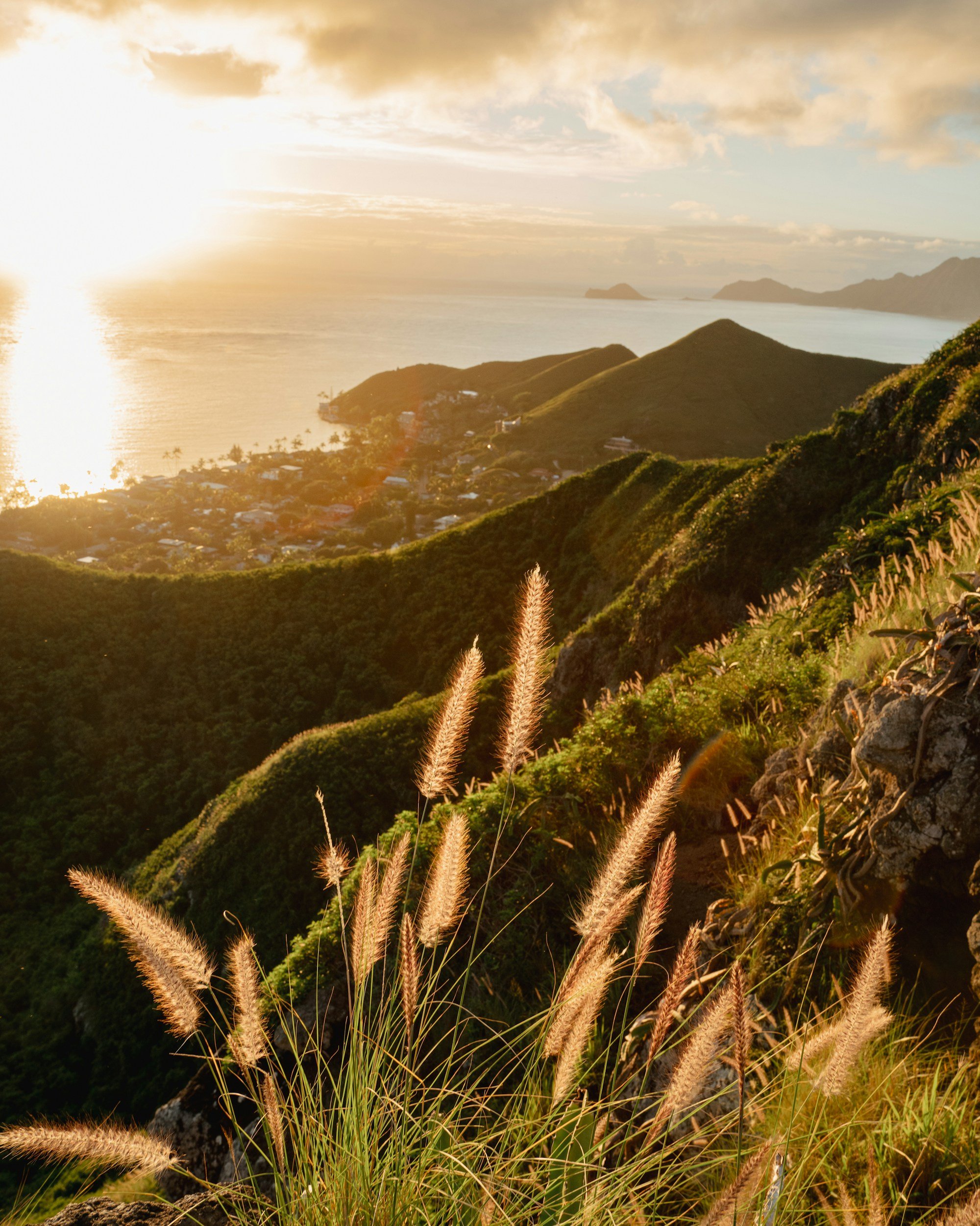unsplash-image-Wu7iC67X6Rs.jpg