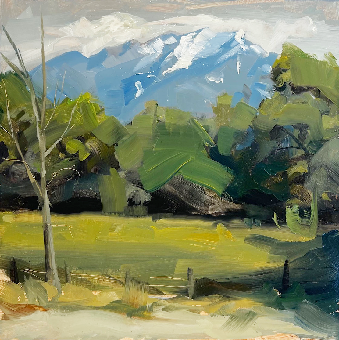 Timpanogos and Field Study - Orginal