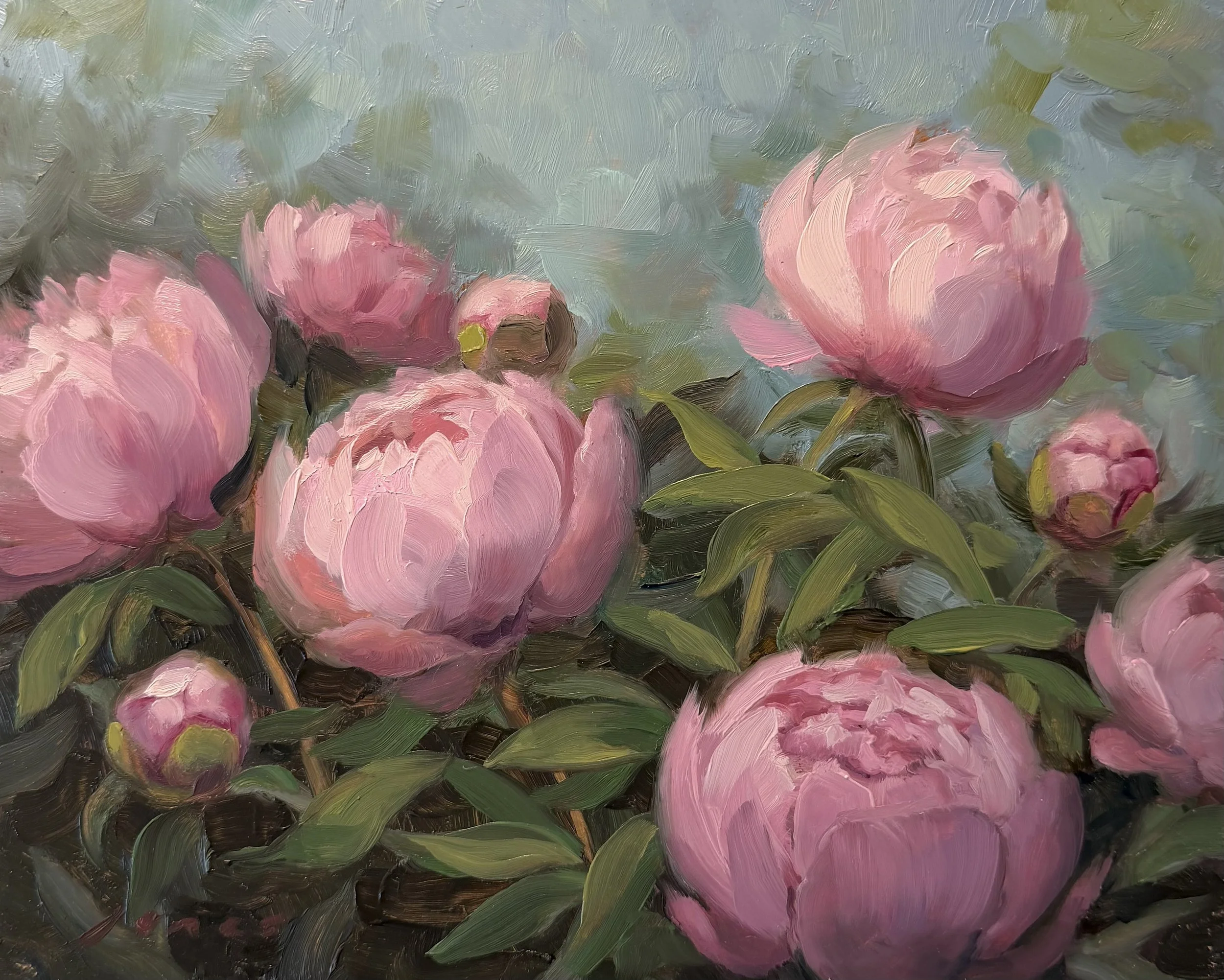 Pink Peonies - Original