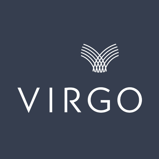 Virgo Investment Group