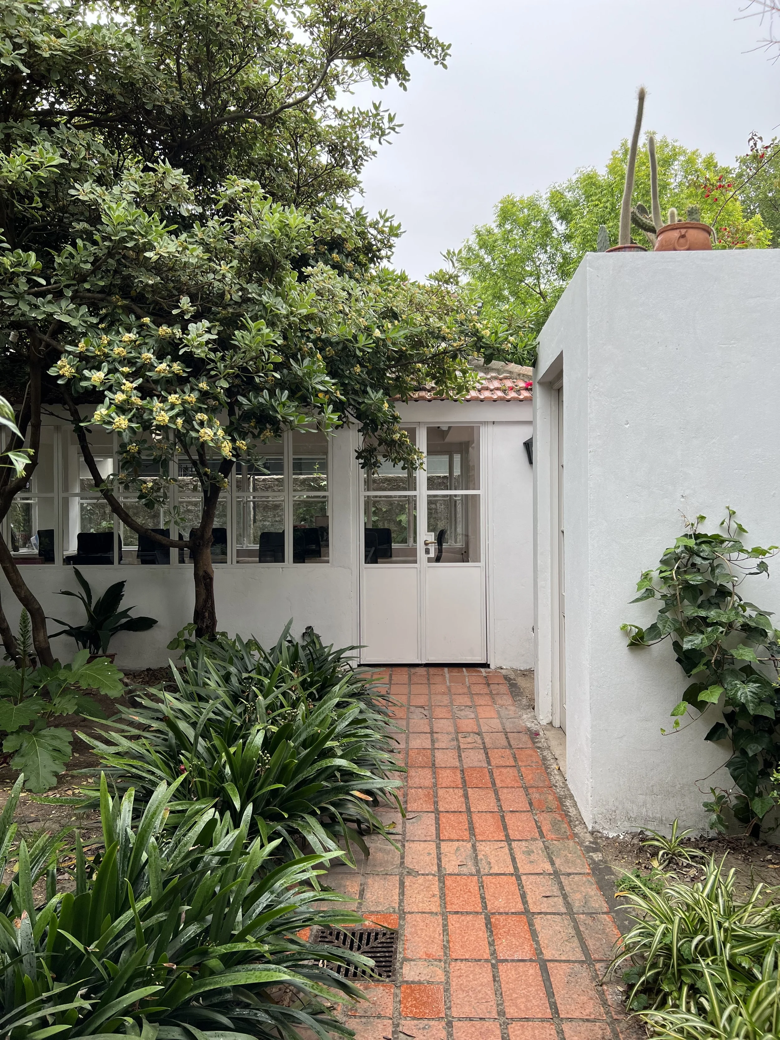 Foto 15-10-22 11 43 01.jpg