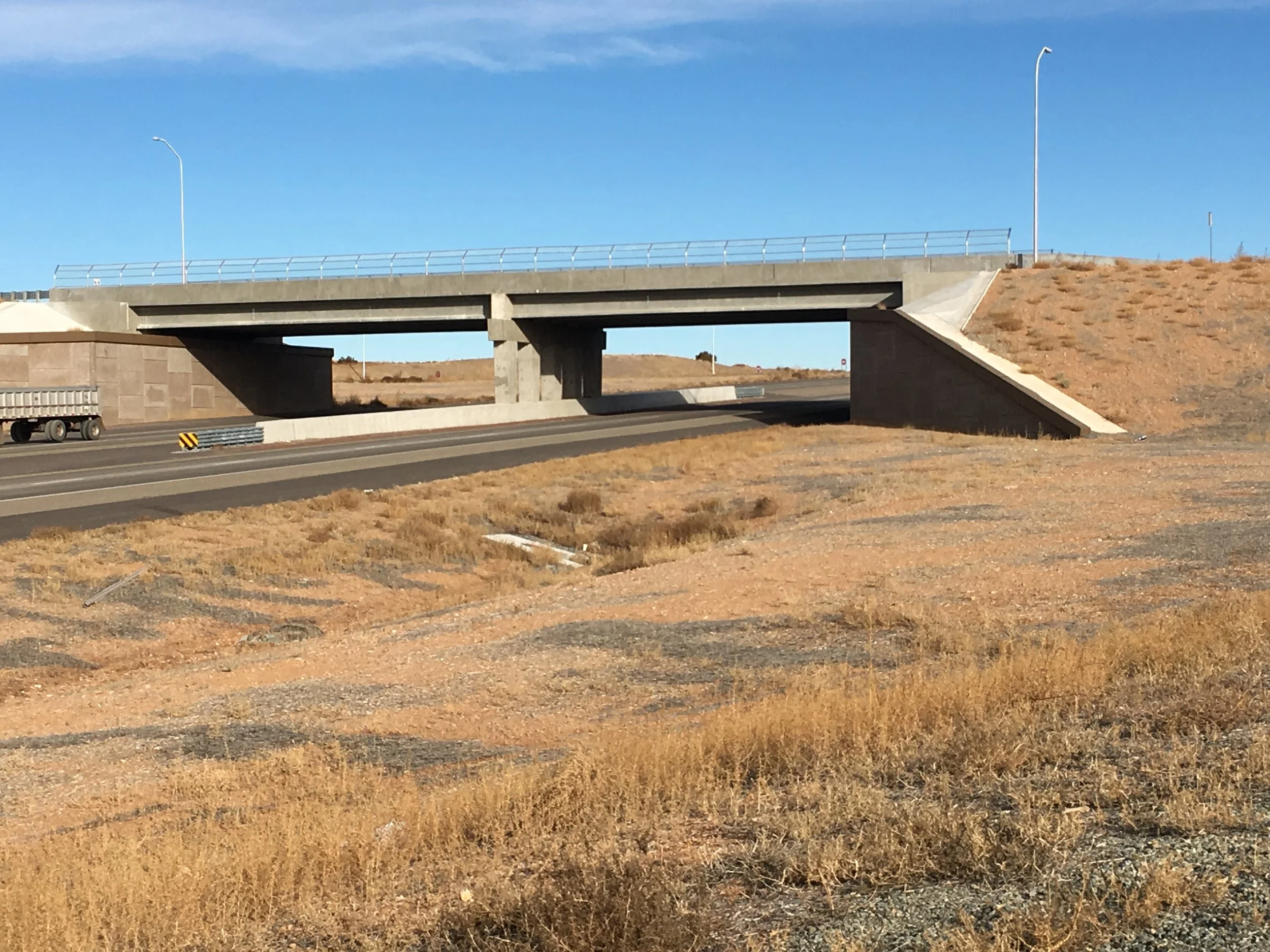 Jaguar Bridge