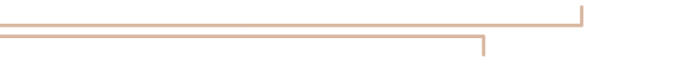 Lines2.png
