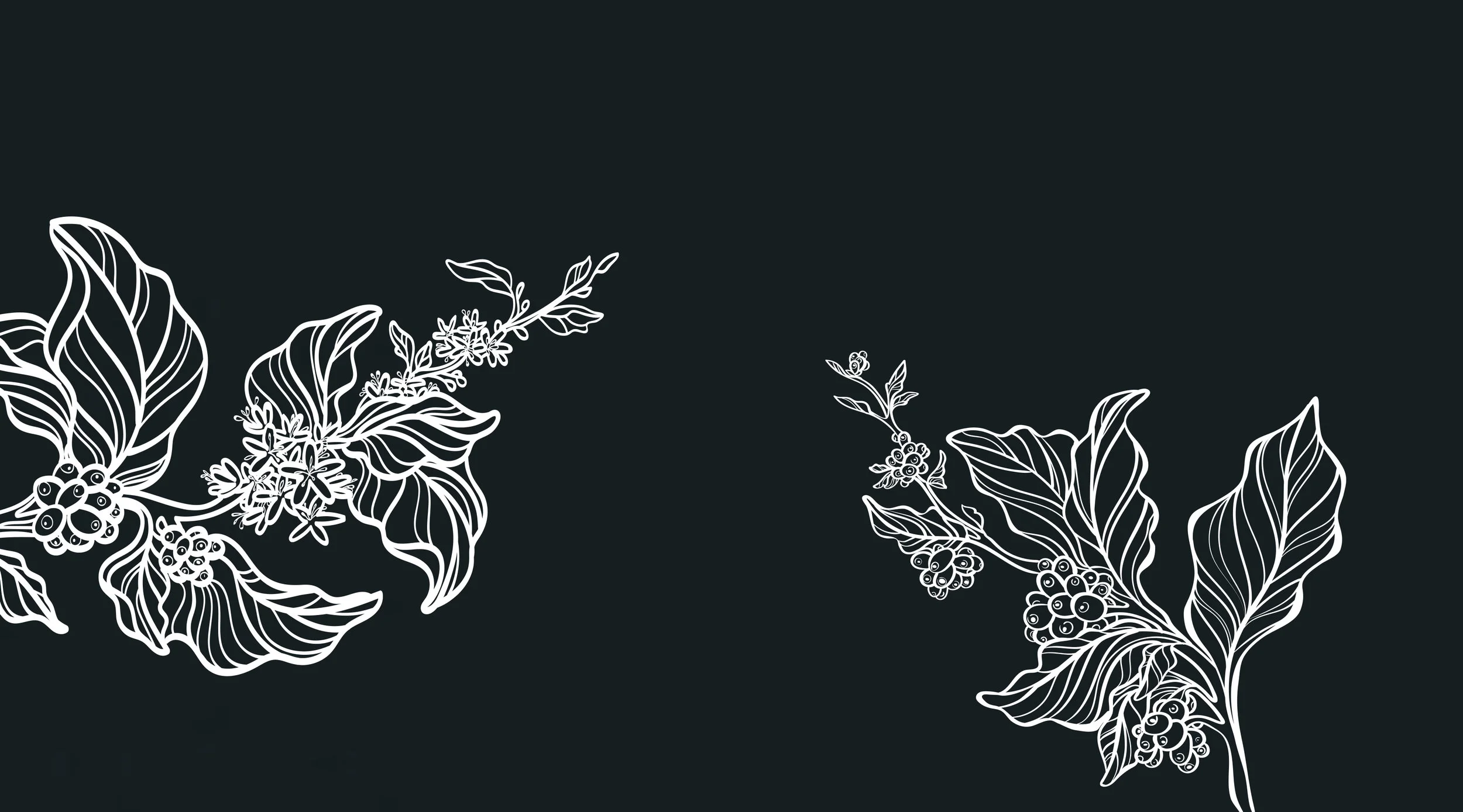 M&F_HeaderImage.jpg
