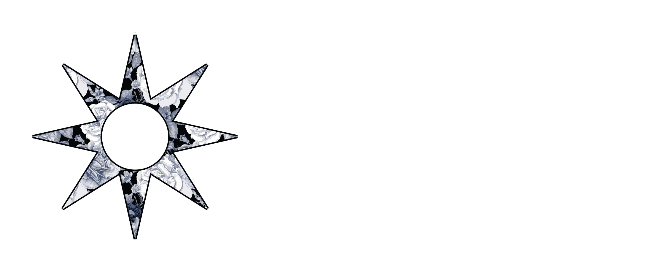 LS_Logo_White_RGB.png