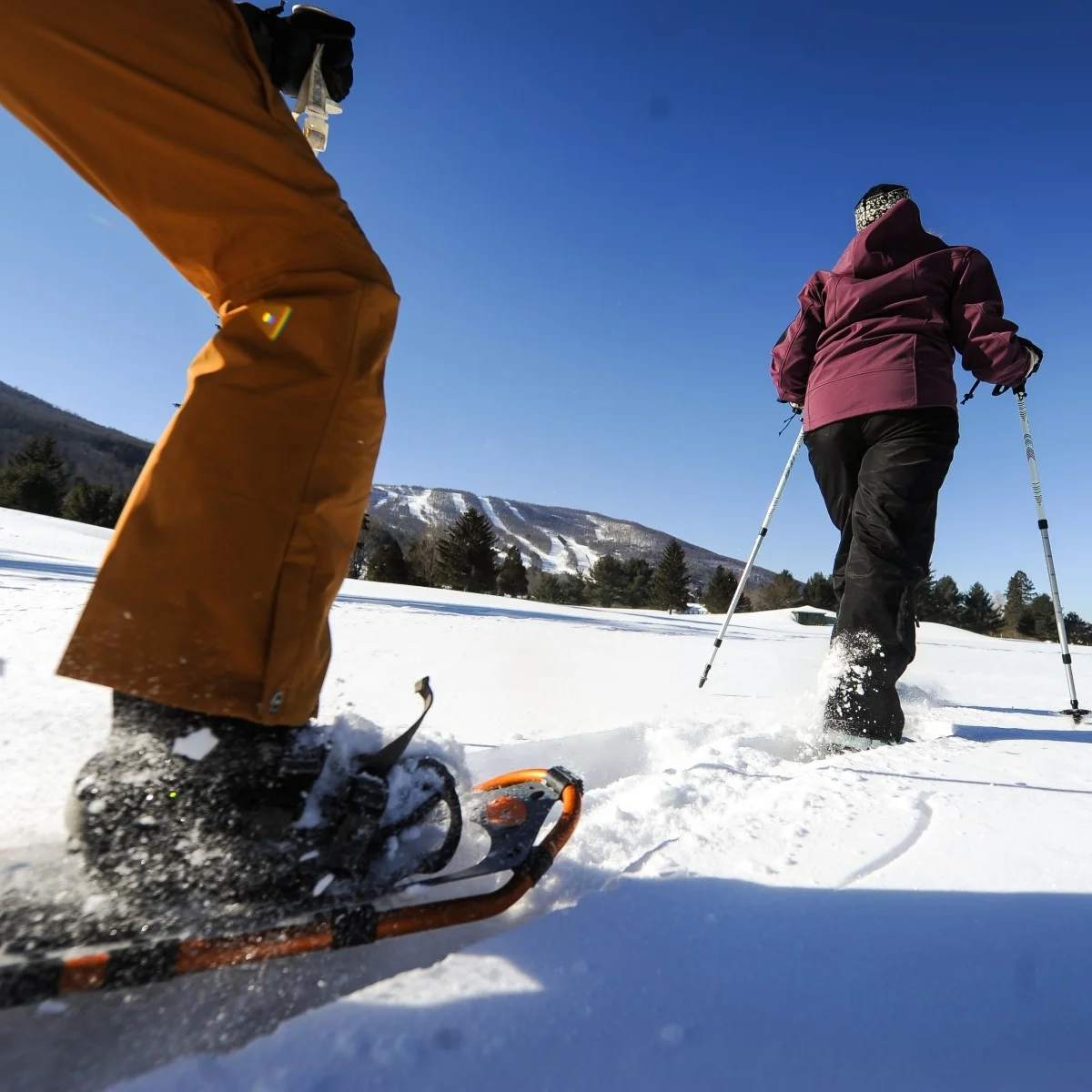 bearpen mountain Newly opened winter sports center offering cross-country skiing, snowshoeing, ice skating, sledding, fat biking, and more, 20 miles from Catskill Lodge. Our guests get buy one, get one tickets!