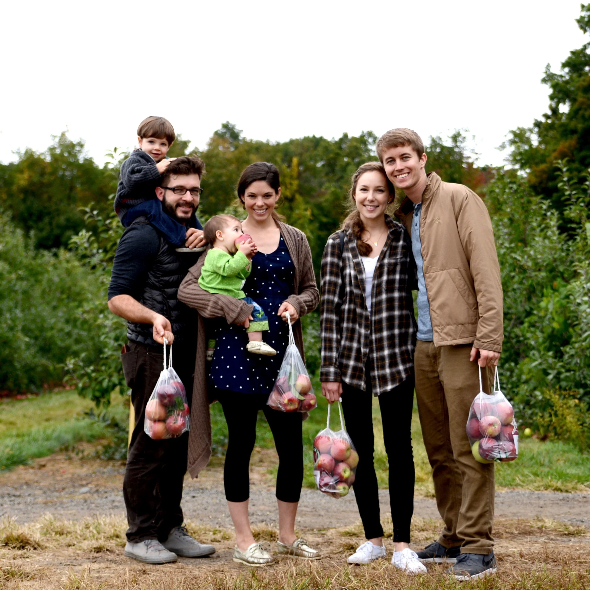FARMS Visit a local farm stand, go apple-picking, or arrange a farm tour.
