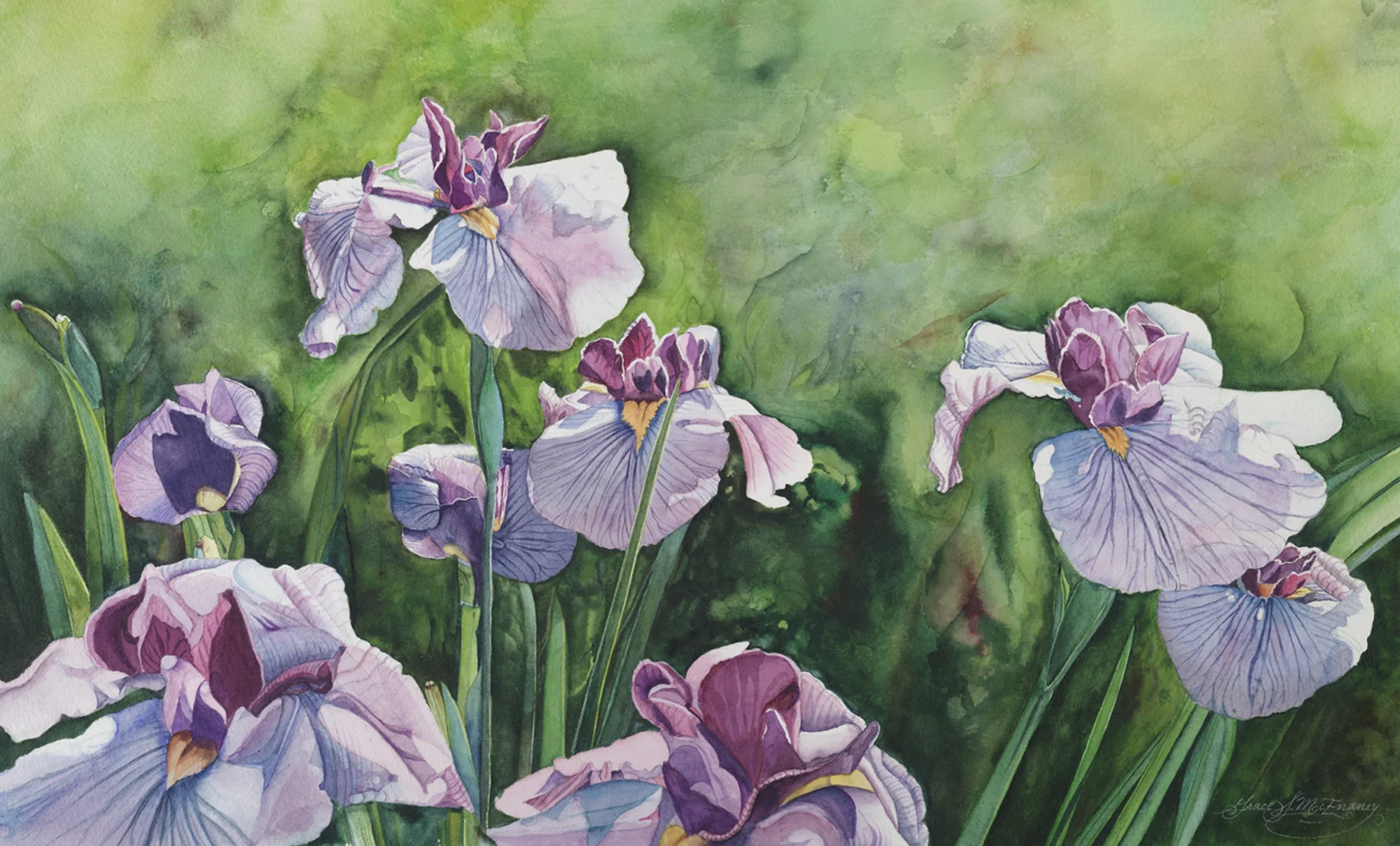 "Iris" 22' X 36"