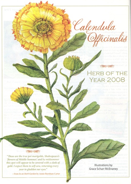 Calendula CARGO copy.jpeg