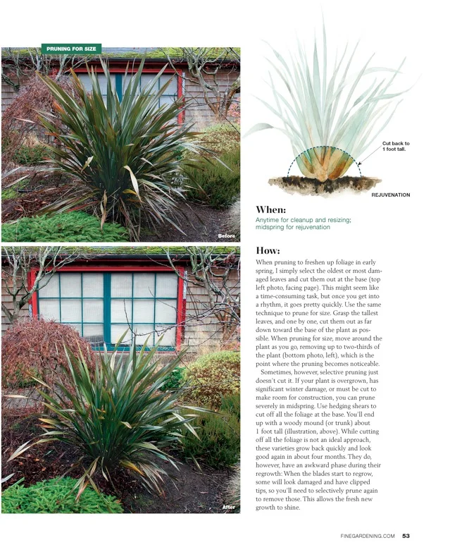 Fine Gardening Magazine