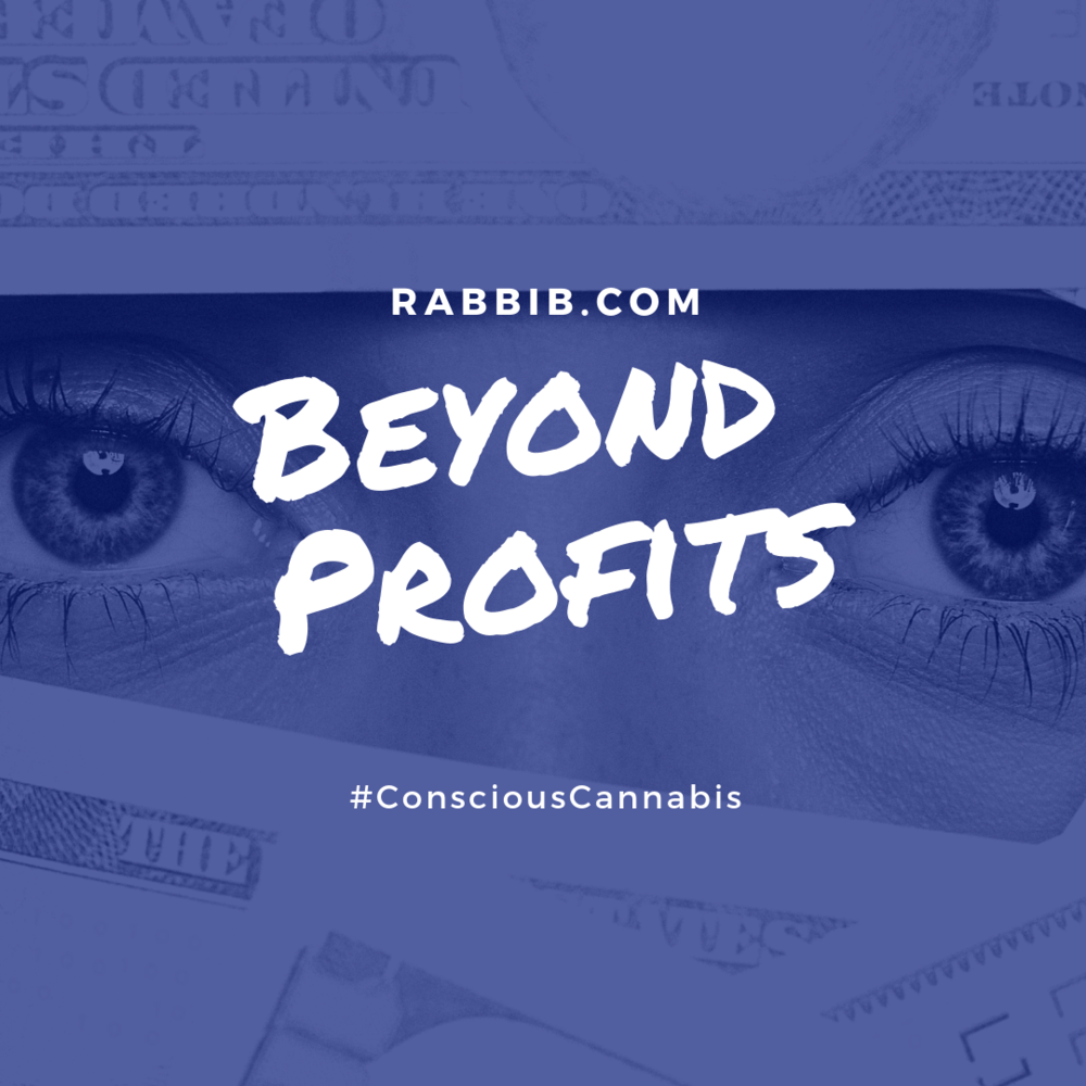 Beyond Profits.png
