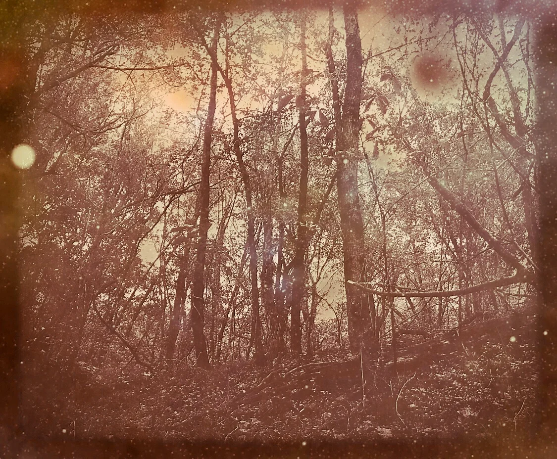 Enlight264.JPG