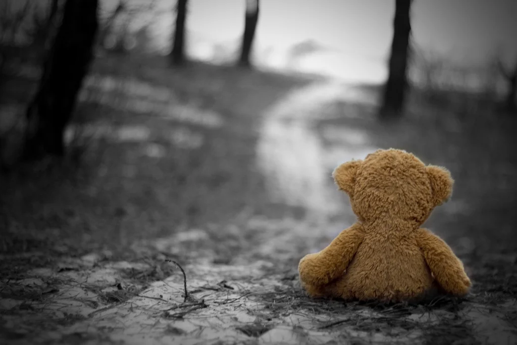 toy-loneliness-grief-sadness-autumn-nostalgia-cold.jpg