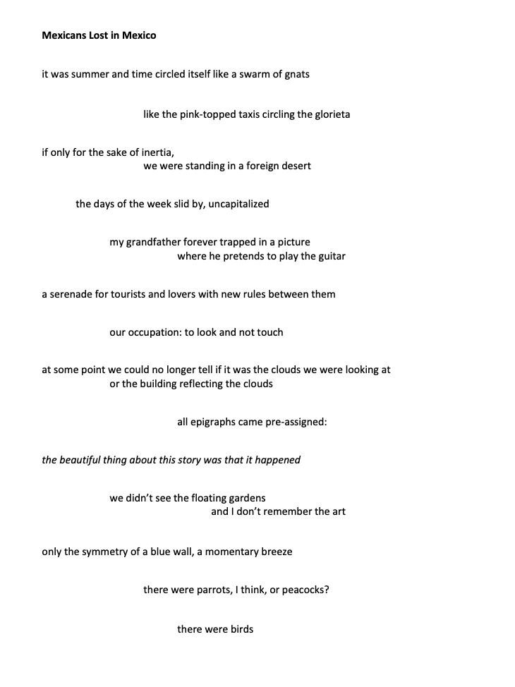 Mexicans Lost in Mexico