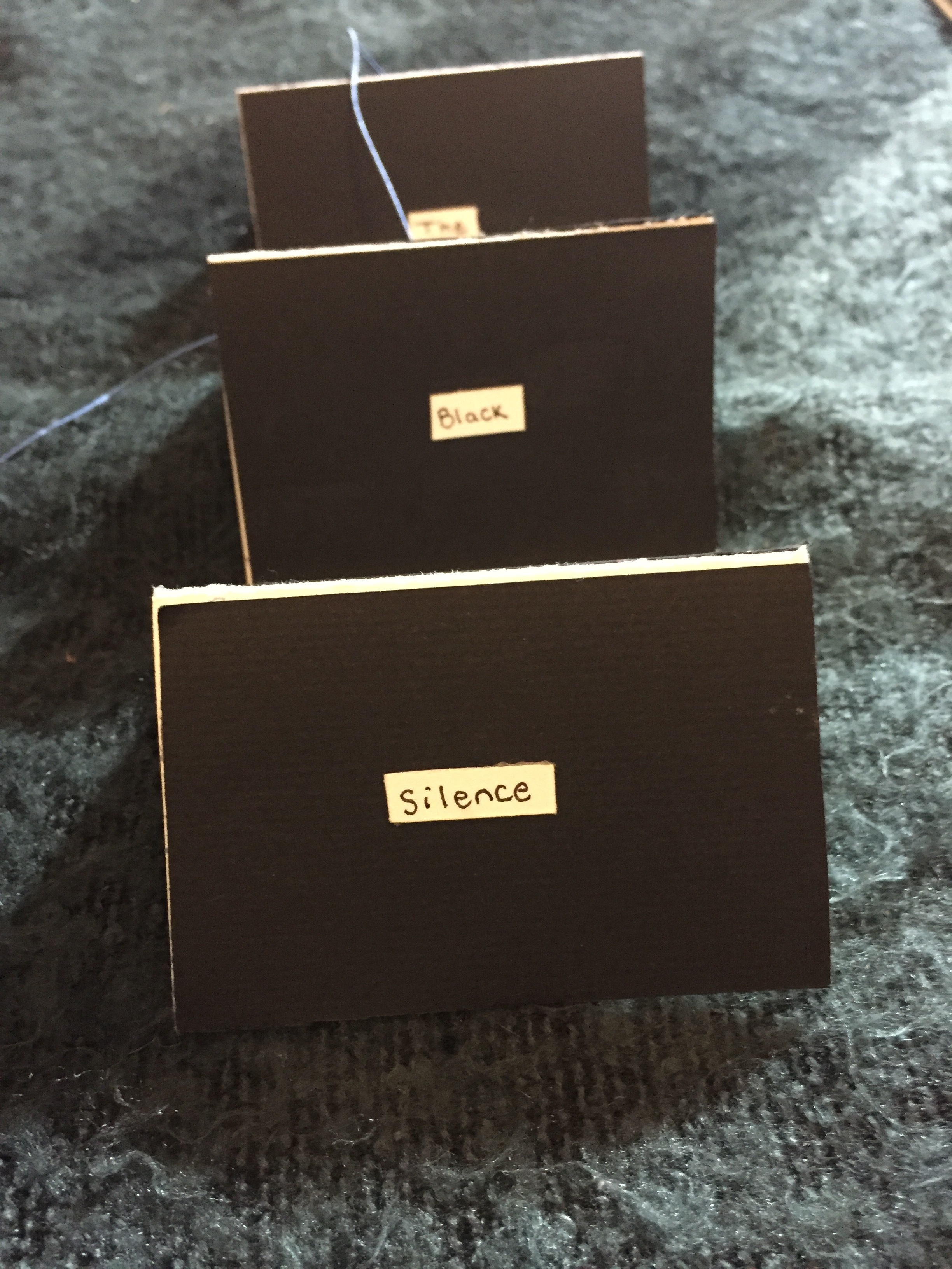   The Pieces of My Voice  by AR Ammons, 2016 