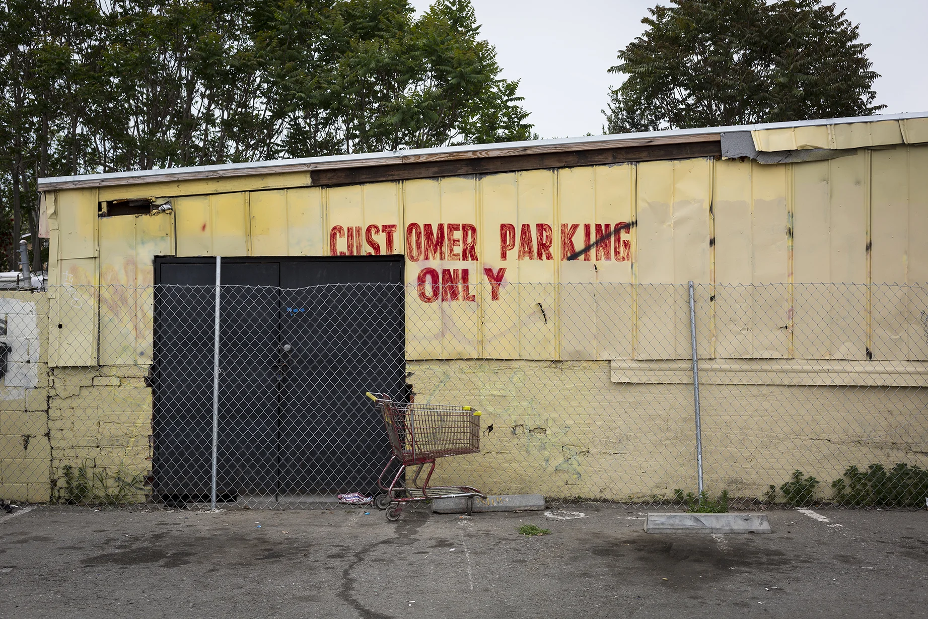 Song for You. San Jose. 2014