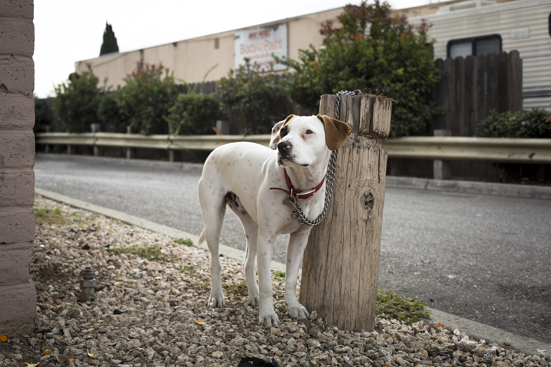  Cooper. San Jose. 2015 