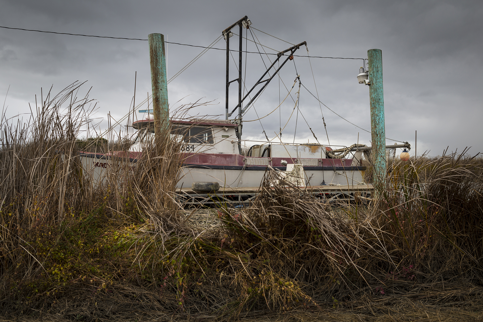  The Dorothy Anne. San Jose, CA 2014 