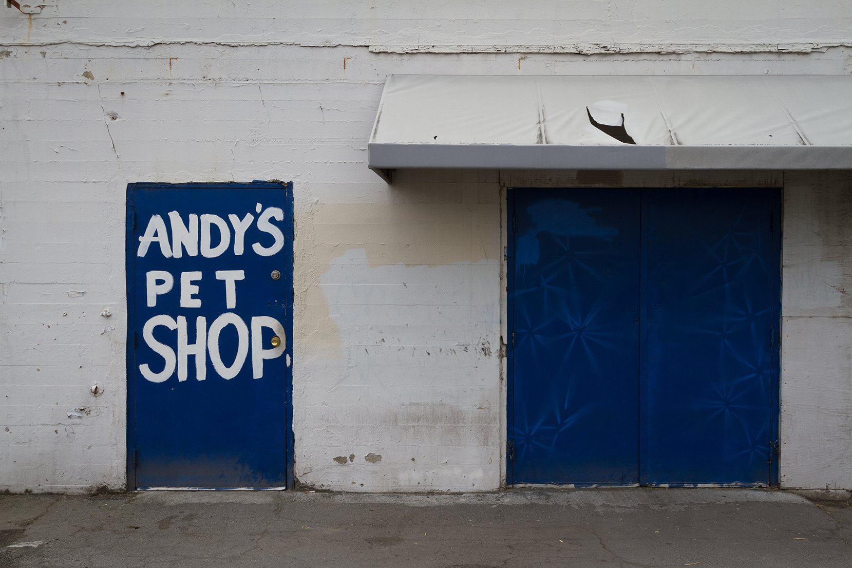  Andy’s Door. San Jose, CA 2013 