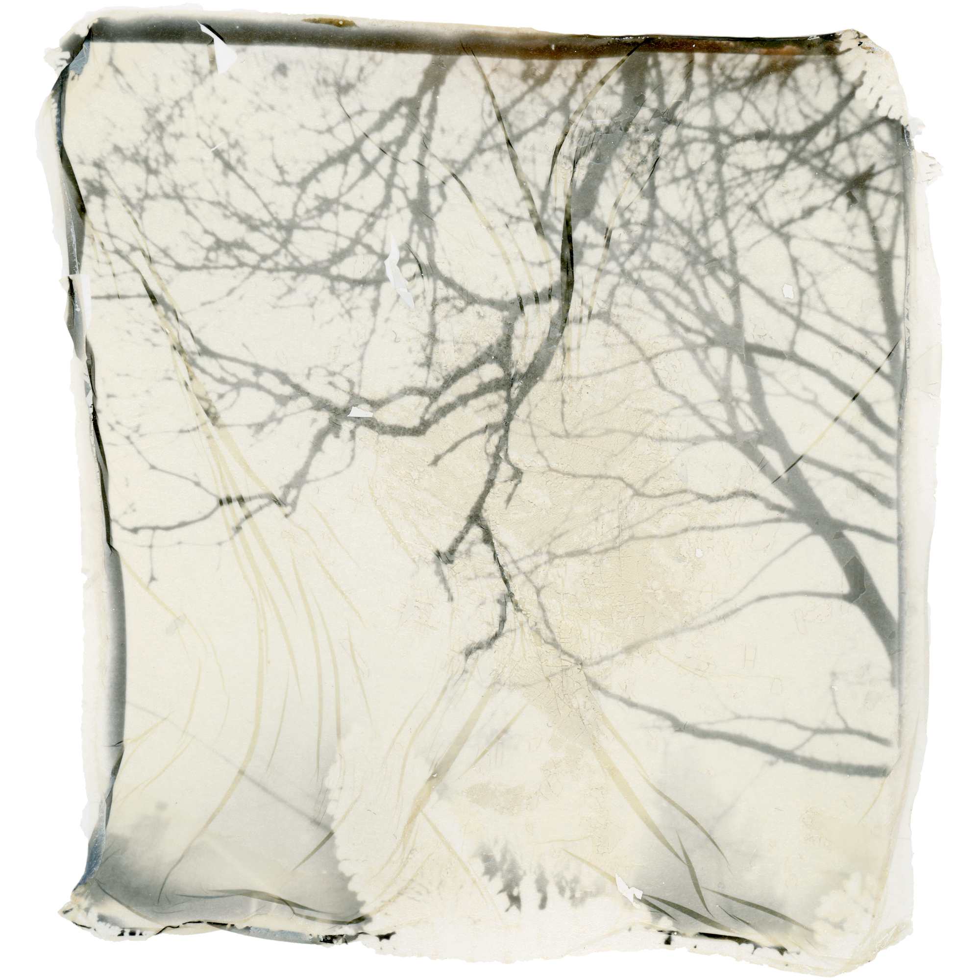 emulsion_lift_024.jpg