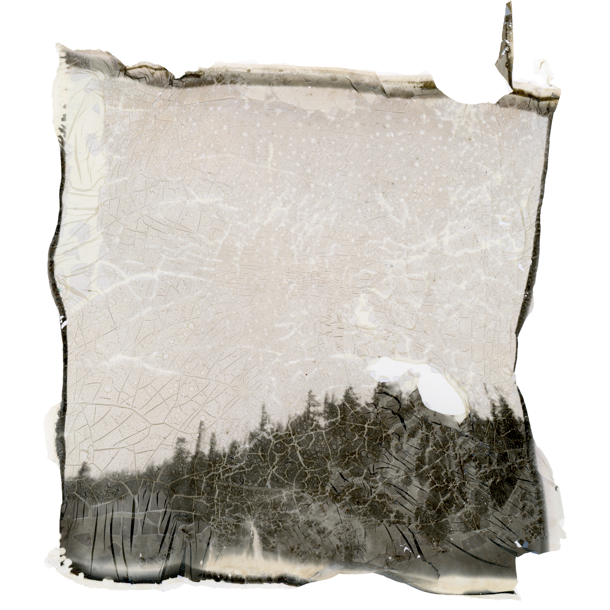 emulsion_lift_025.jpg