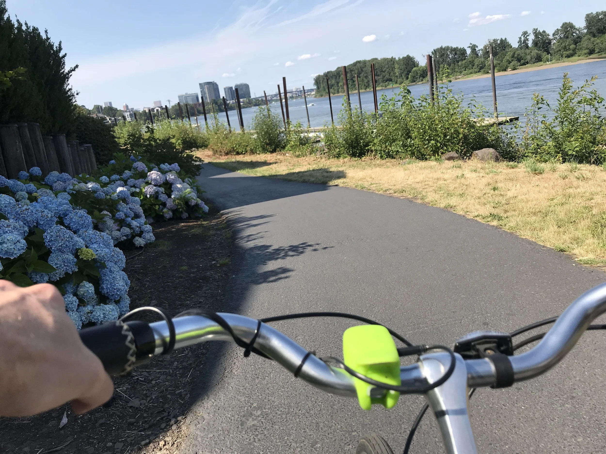 A Bicycle for the Mind