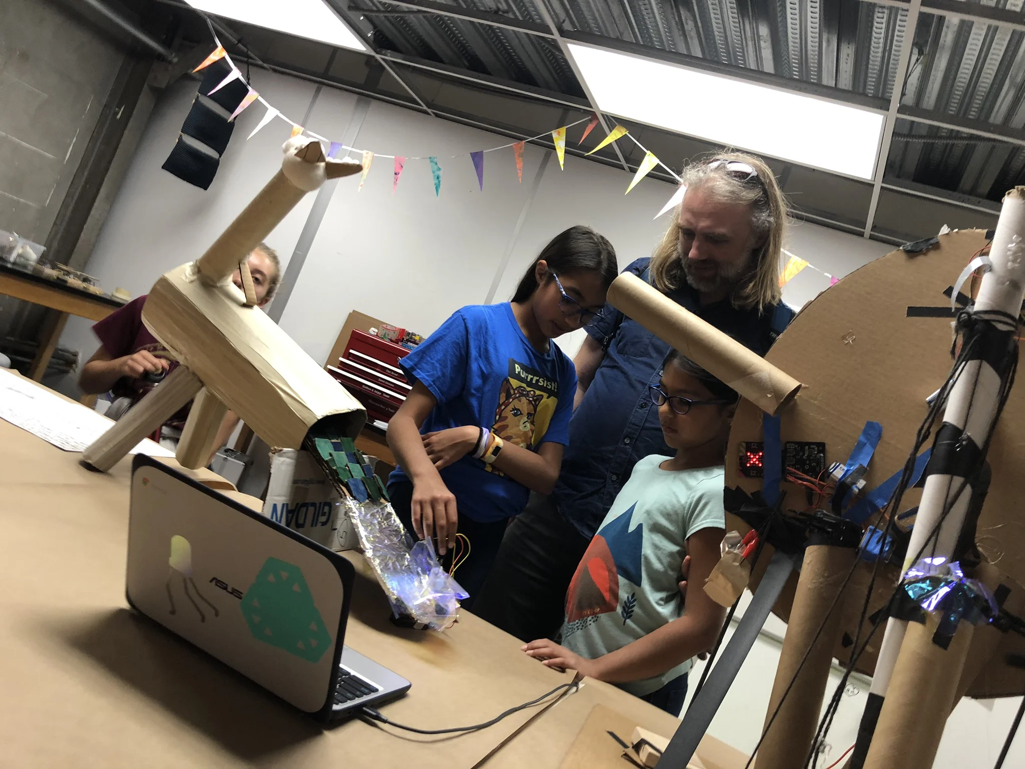 A Computational Zoo - WICO Summer 1.4