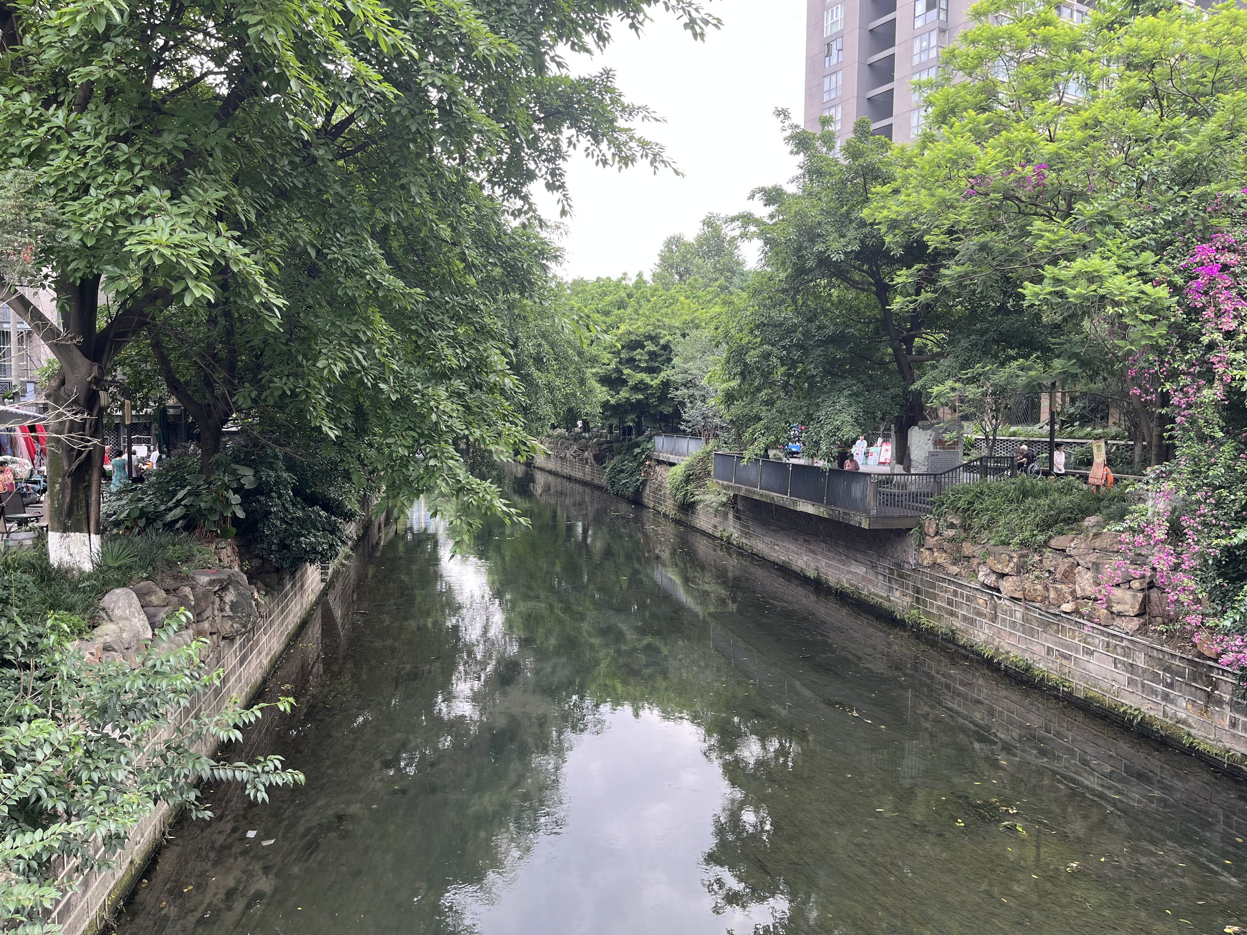 IMG_3351.jpeg